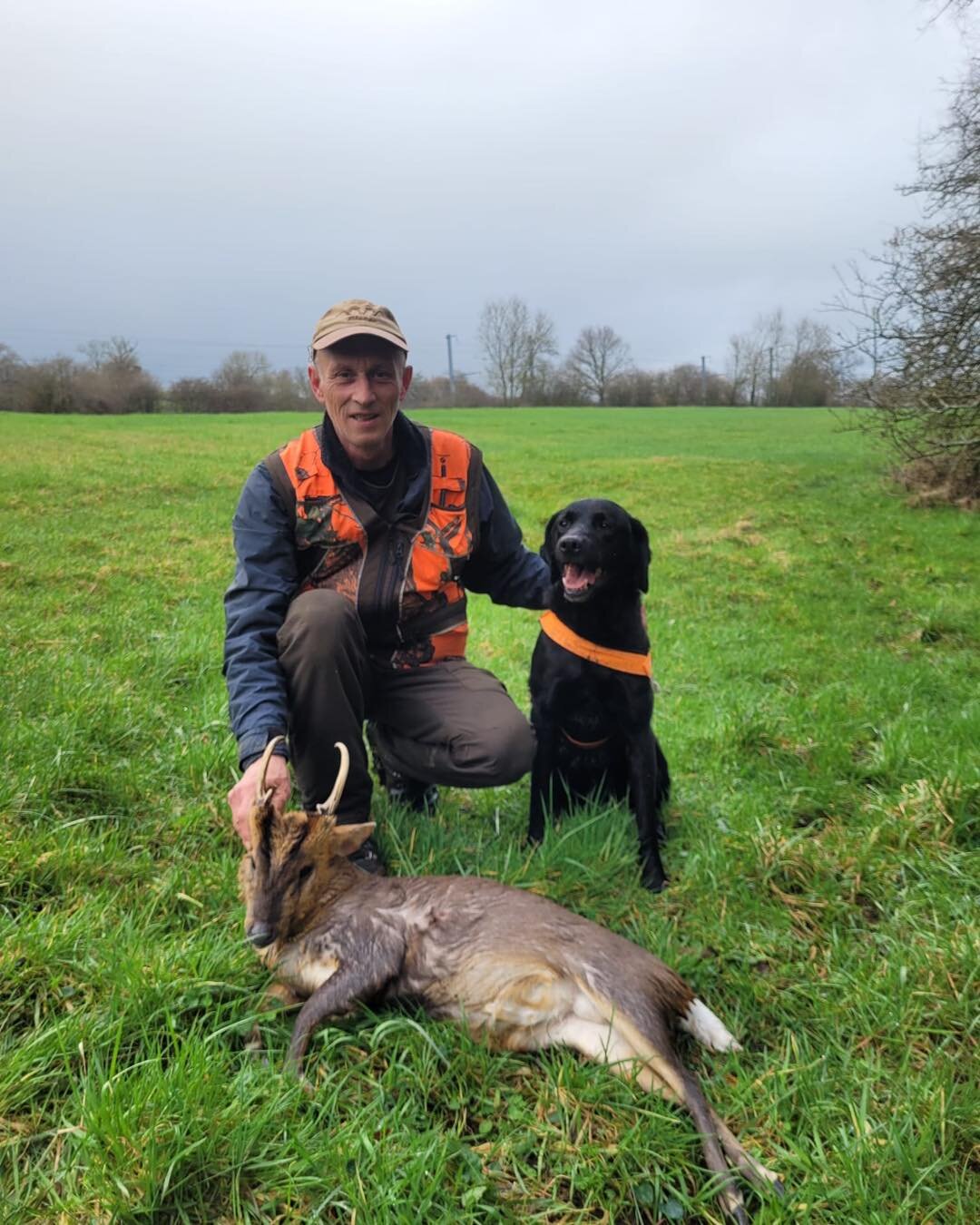2 of the 3 recoveries for UKDTR tracking teams over the weekend..
Gareth Clarke and Wilson having a good couple of days..
Many thanks to the Stalkers for putting your trust in UKDTR 👏👏

To find a tracking team 🦌🐕🦌🐕
Click on the link 

https://w