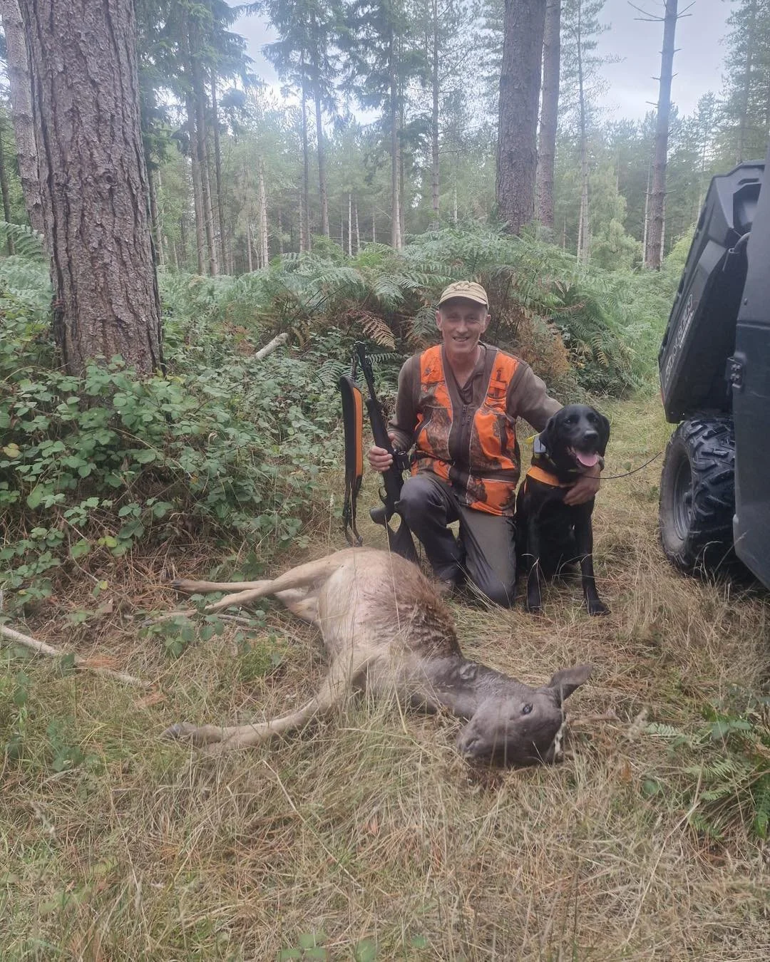 Good recovery for one of the UKDTR tracking teams today..
Though a well placed chest shot on a fallow pricket the deer still ran.
Stalker had found signs of blood and lung tissue but the blood trail dried up and the cover came to much to keep sensibl