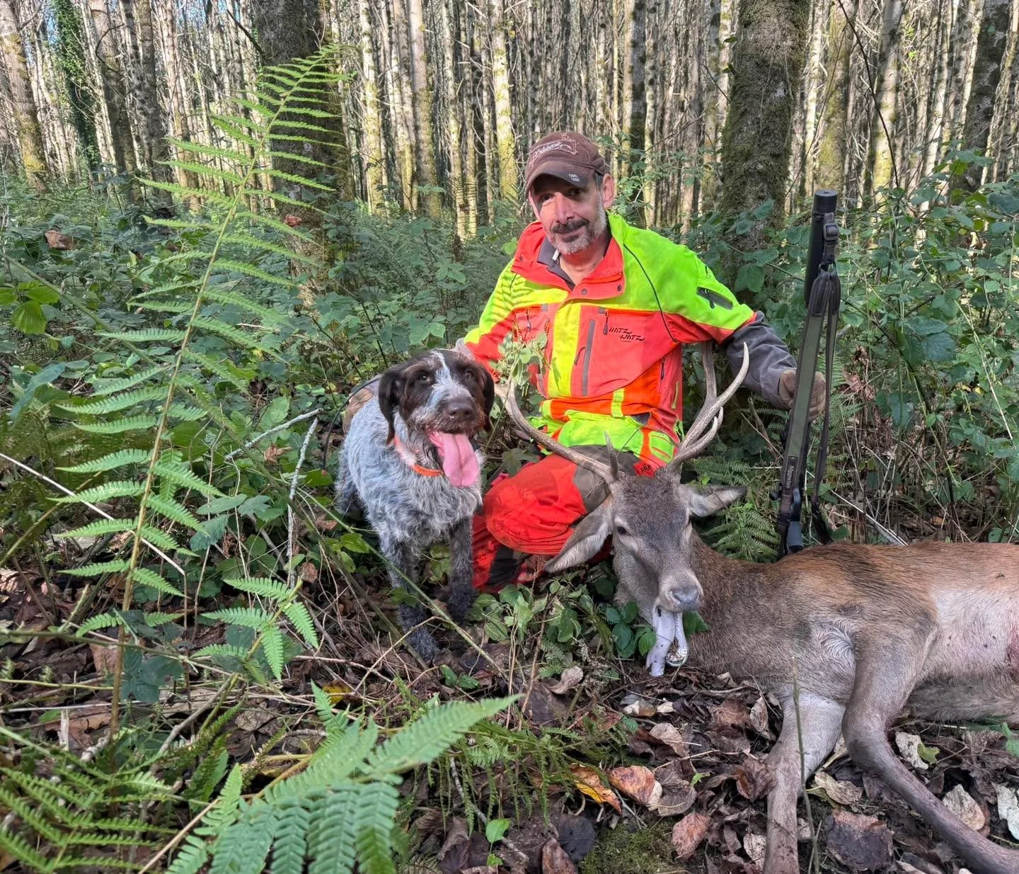 Good recovery today for Al &amp; Skye..
Red stag hit slightly back .
No sign at shot site and first bit of blood found around 400m into the track.. 
Al &amp; Skye tracked over 1km before finding and despatching the Deer..
Well done all ..🦌🐕
blaser_