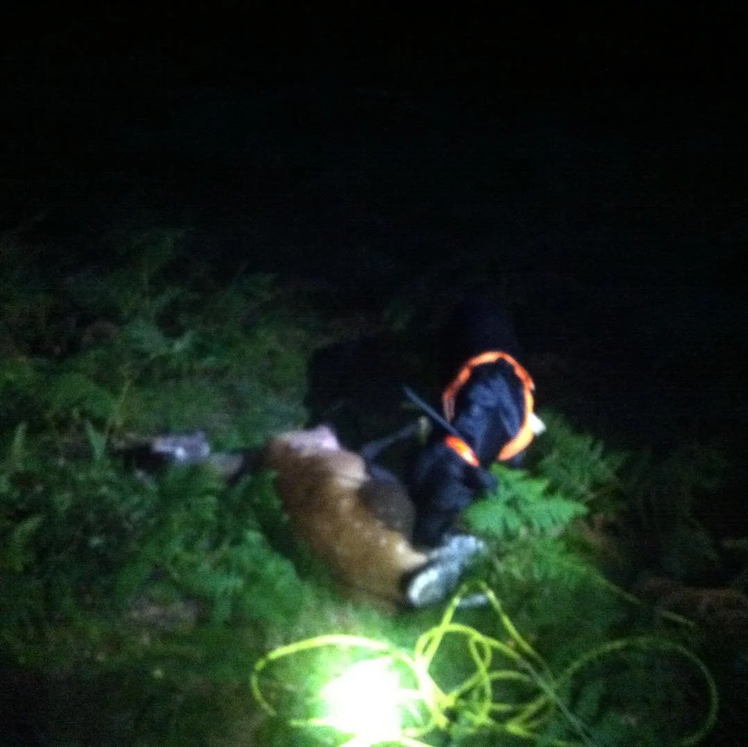 It’s that time of year again ..
With the changing of the clocks and the darkness of the night longer than the daylight ..
The Hind and Doe seasons  already underway in Scotland and about to start for the rest of the UK..🦌🦌
Many of us will be