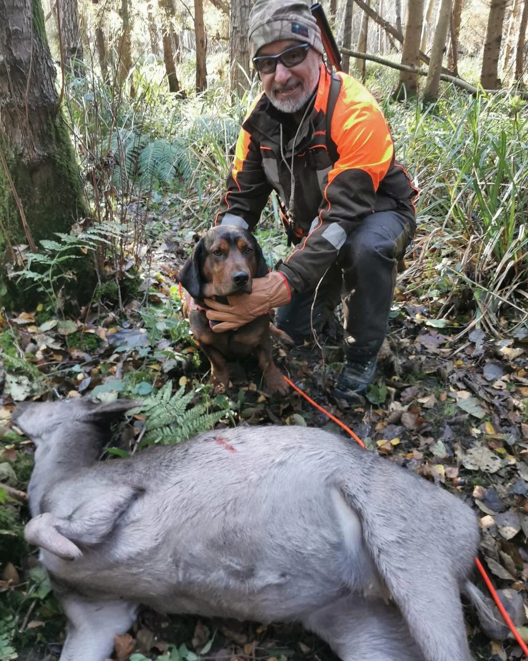 Another good Recovery for Sarb &amp; Thor this morning..
No sign of a strike at the shot site ,
First signs of blood 50m on and after a short track of 400m the Fallow Doe was recovered dead ..🦌🐕
Well done Sarb &amp; Thor..👌
Many thanks to the stal