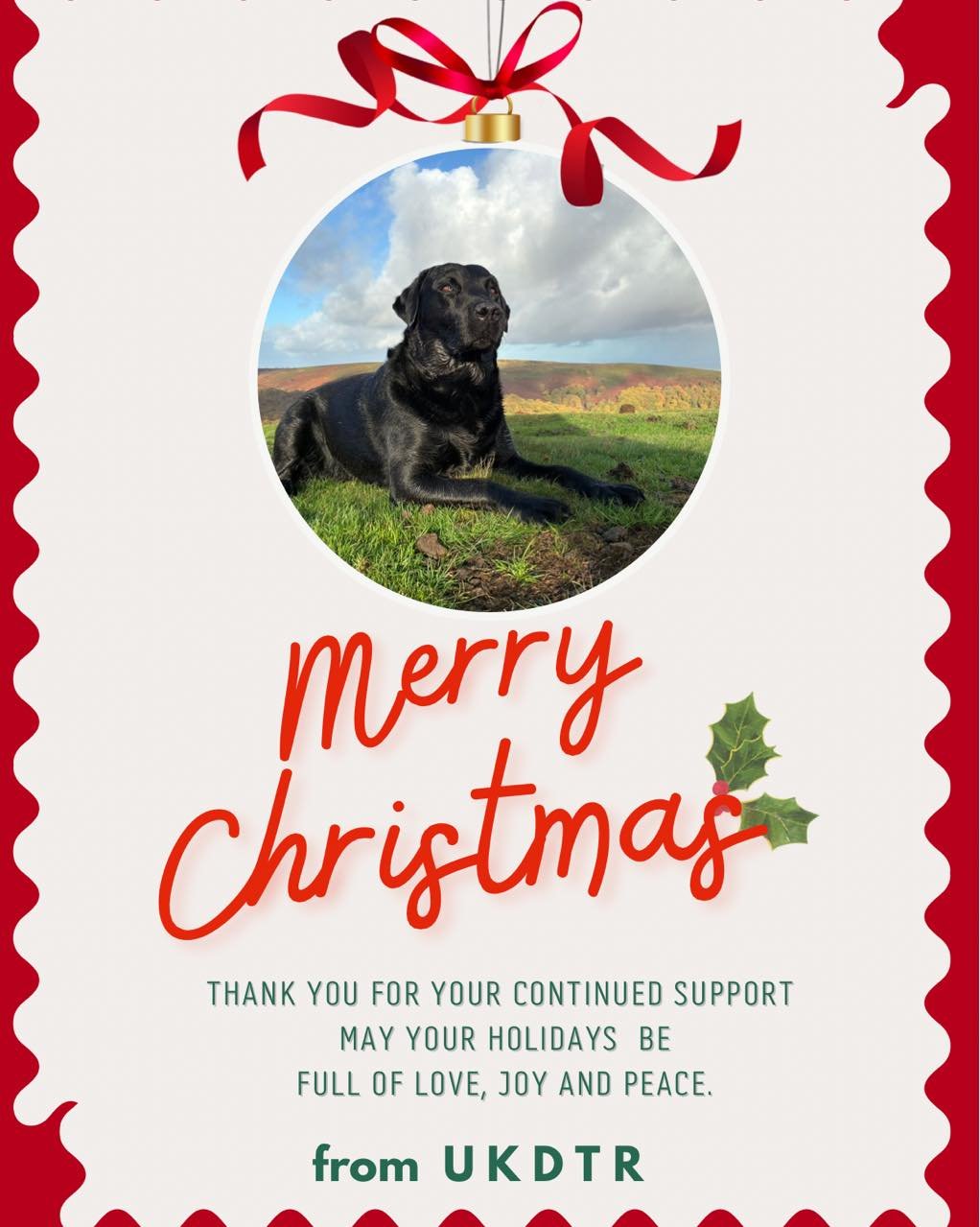 As we start into the festive Holidays..
With many thinking about harvesting some venison for the freezer..🦌
The Teams at UKDTR will be on hand to help if needed..🦌🐕

https://www.ukdtr.co.uk/find-a-tracker

We all also would like to wish everyone a