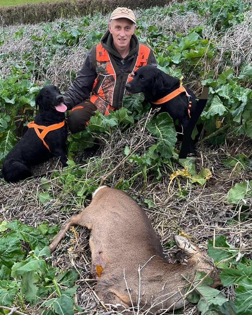 Another Recovery on a dead Roe for one of the teams today..🦌🐕
Deer had run and disappeared out of sight..
Short track later for the team which led to the dead deer..
Well done Nobby 👏
Many thanks to the stalker for putting your trust in UKDTR 👌👌