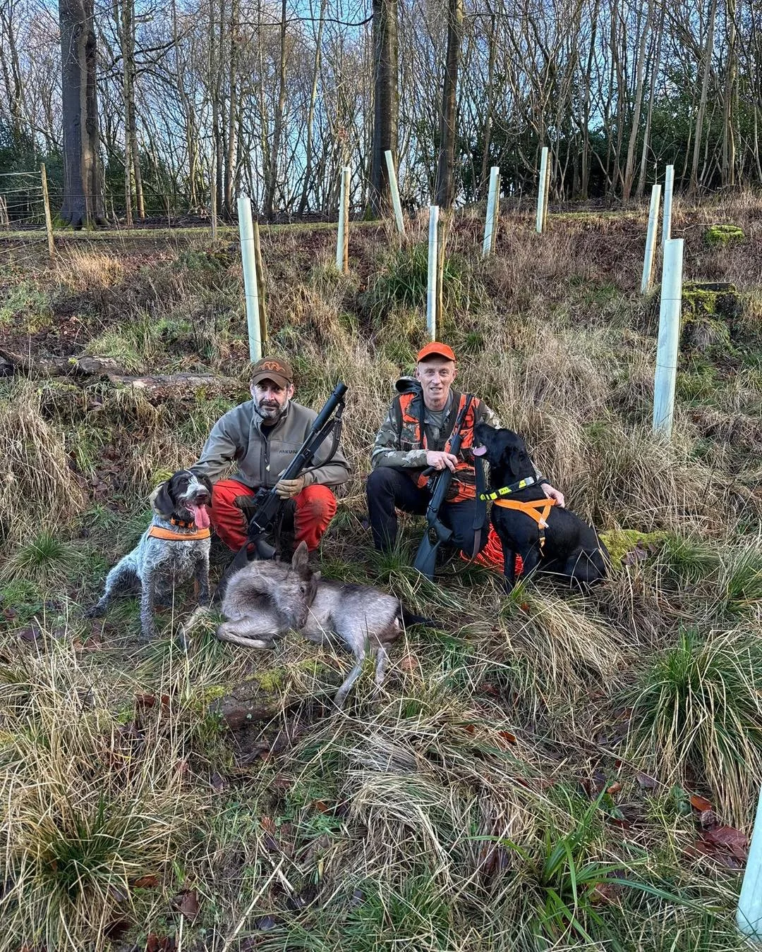 Success today from 2 tracks  as some of the tracking teams worked together to ensure the best outcome they could..
First track 
Both dogs showed no indication and deemed a miss . 
Second track 
Which was known  to be leg shot and already had a dog pu