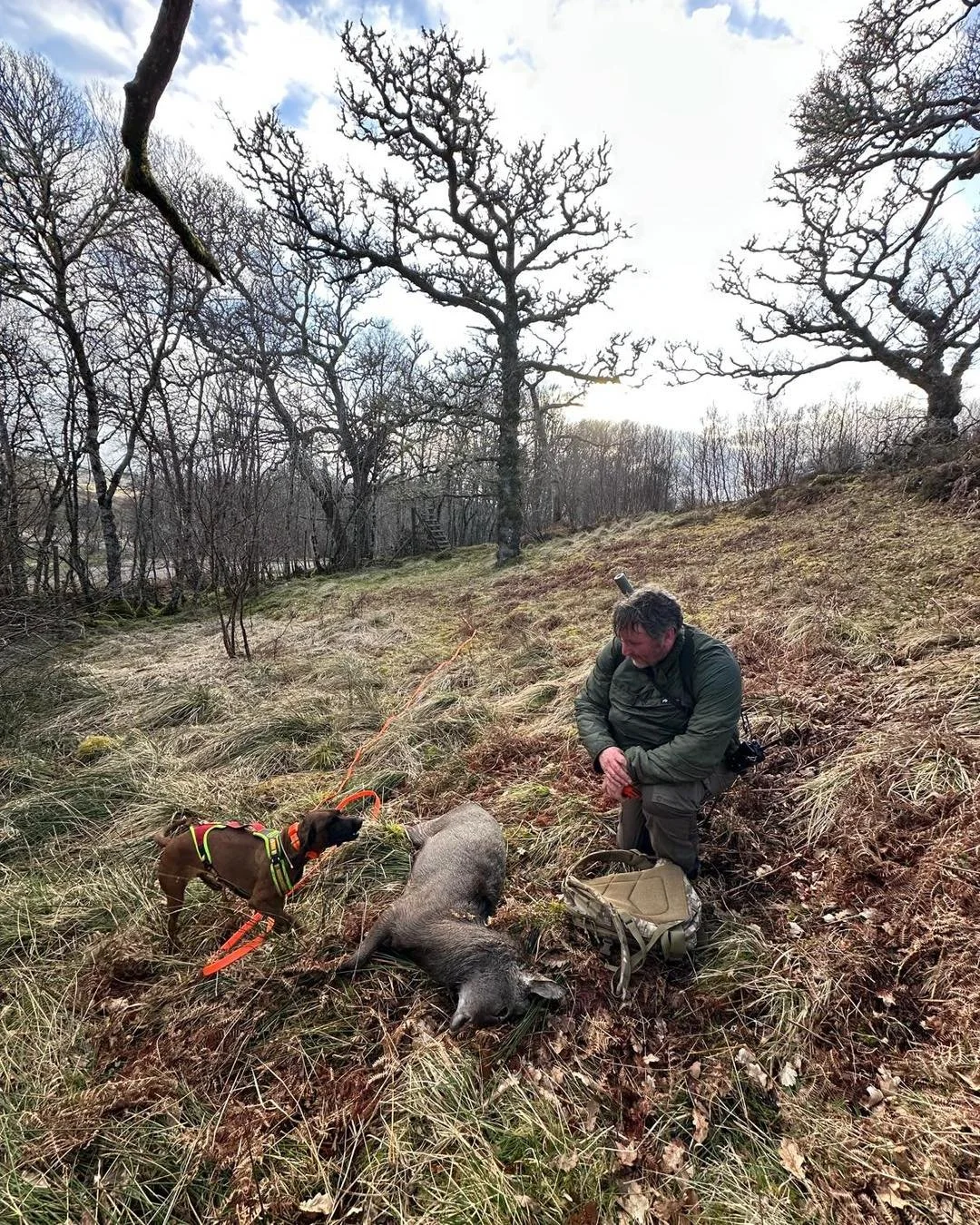 Another successful recovery for one of the tracking teams today..
Sika  was shot yesterday evening and after the initial search the deer was bumped and ran. 
Stalker then called for assistance 
Ben &amp; Remi picked up the track to the wound bed and 
