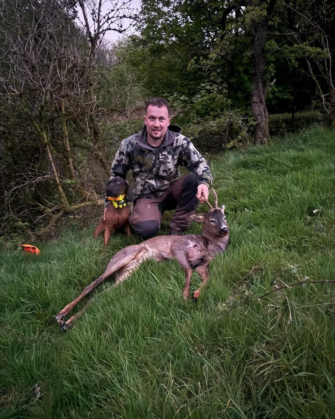 Another good recovery for one of the UKDTR tracking teams yesterday..
Stalker realised that the strike didn&rsquo;t feel right and decided to call for advice instead of looking and risk pushing the deer on..🦌🐕
A short track later for Ash &amp; Aoif