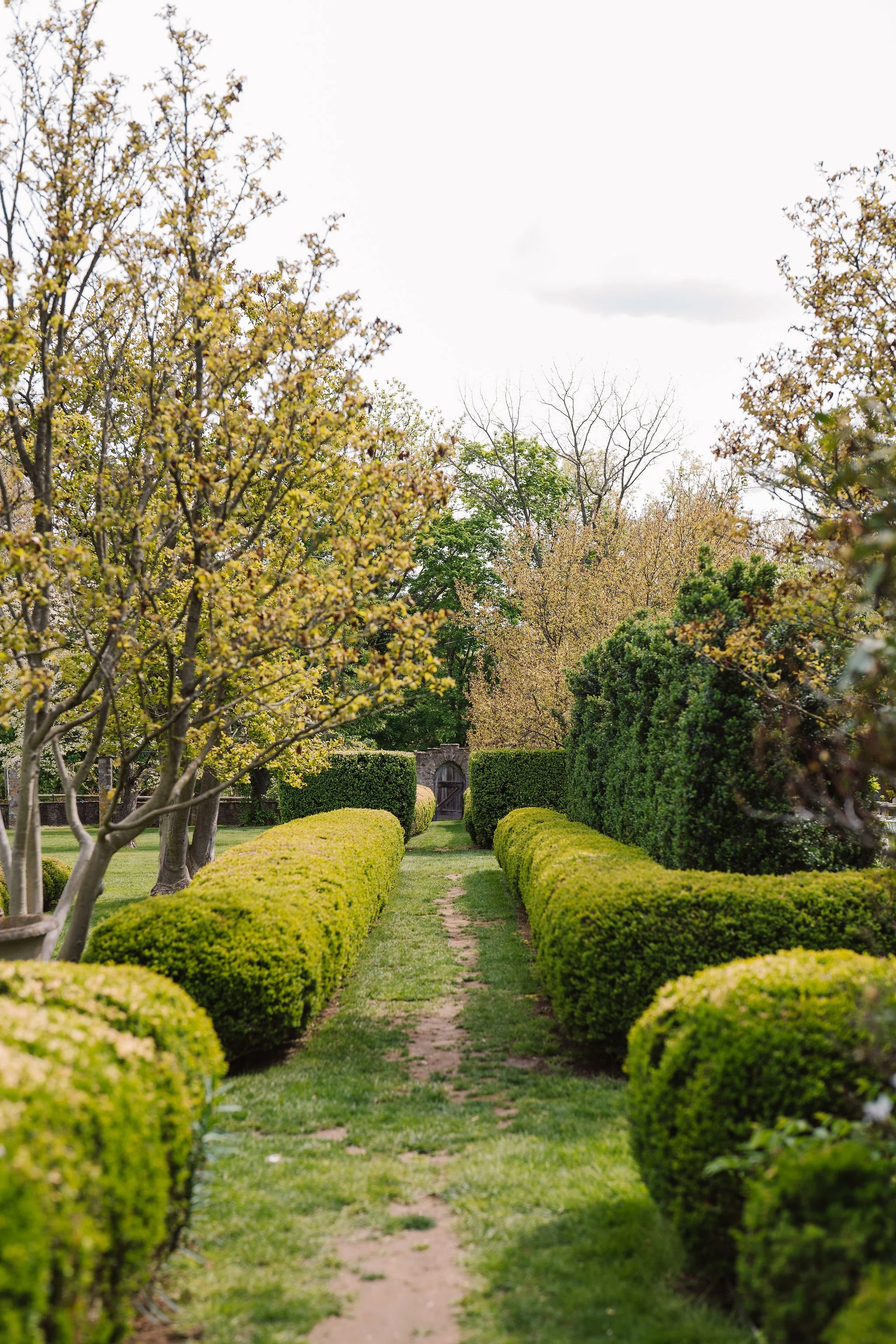 The-Highlands-Mansion-and_Gardens-Wedding-Peaberry-Photography-00009.JPG