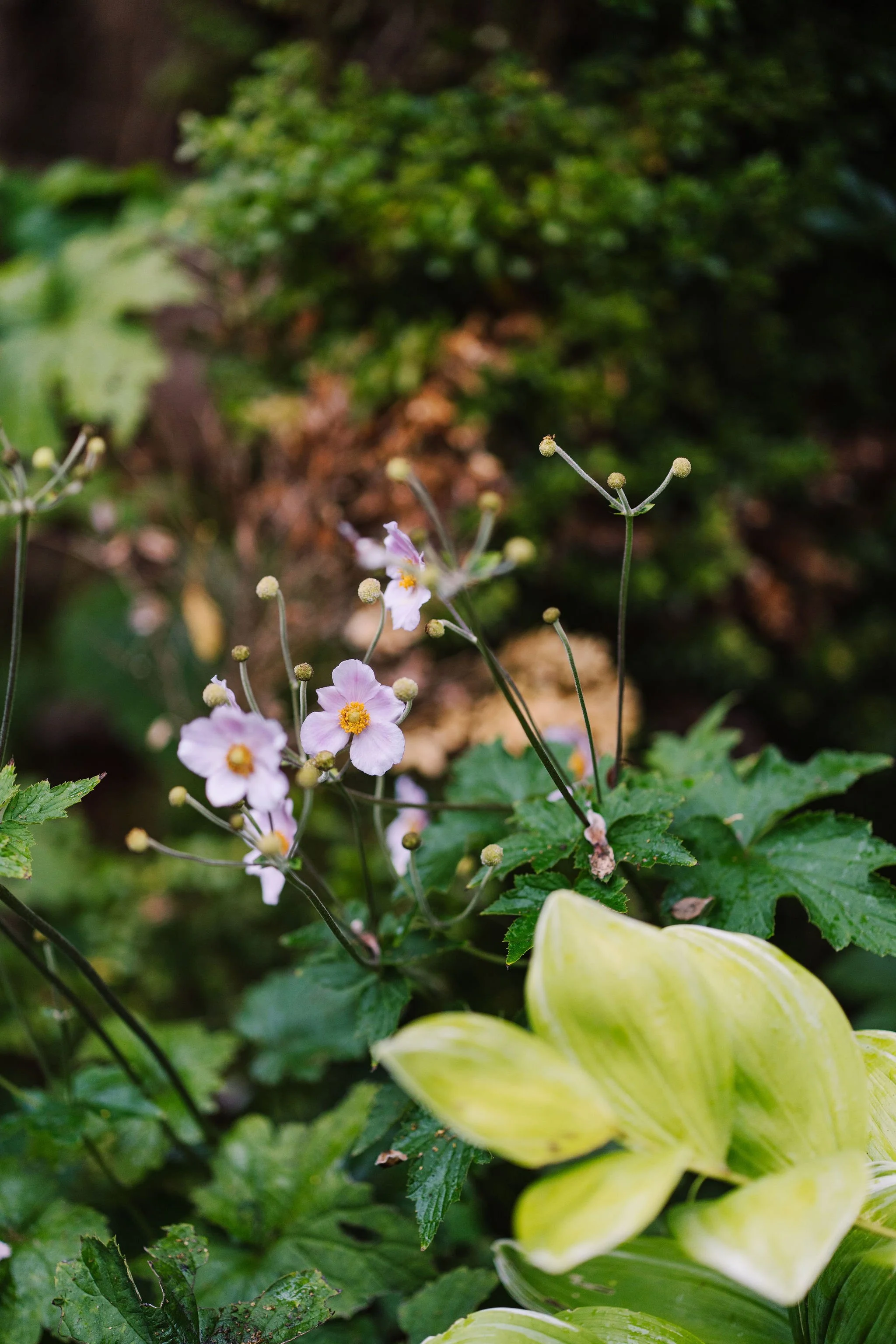Tyler-Arboretum-Wedding-Peaberry-Photography-00208.JPG