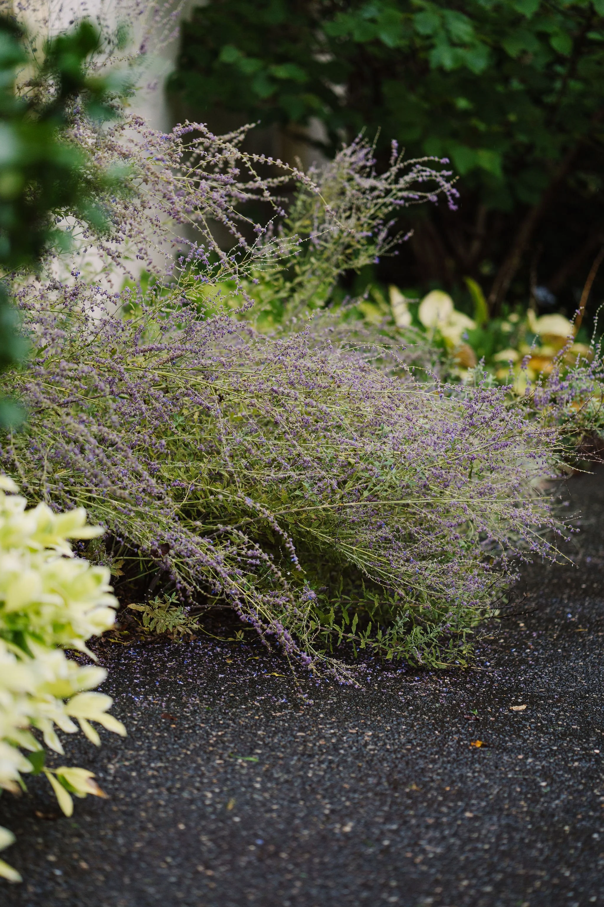 Tyler-Arboretum-Wedding-Peaberry-Photography-00209.JPG