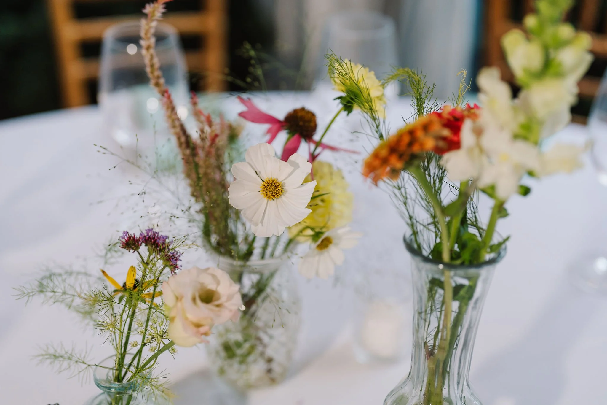 Tyler-Arboretum-Wedding-Peaberry-Photography-00784.JPG