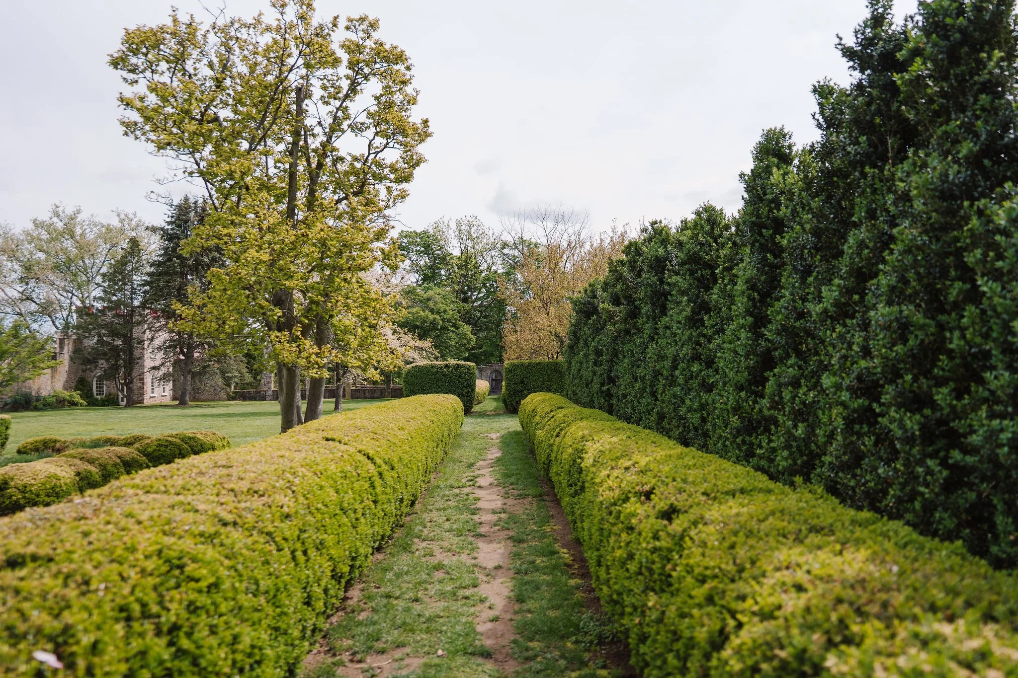 The-Highlands-Mansion-and_Gardens-Wedding-Peaberry-Photography-00008.JPG