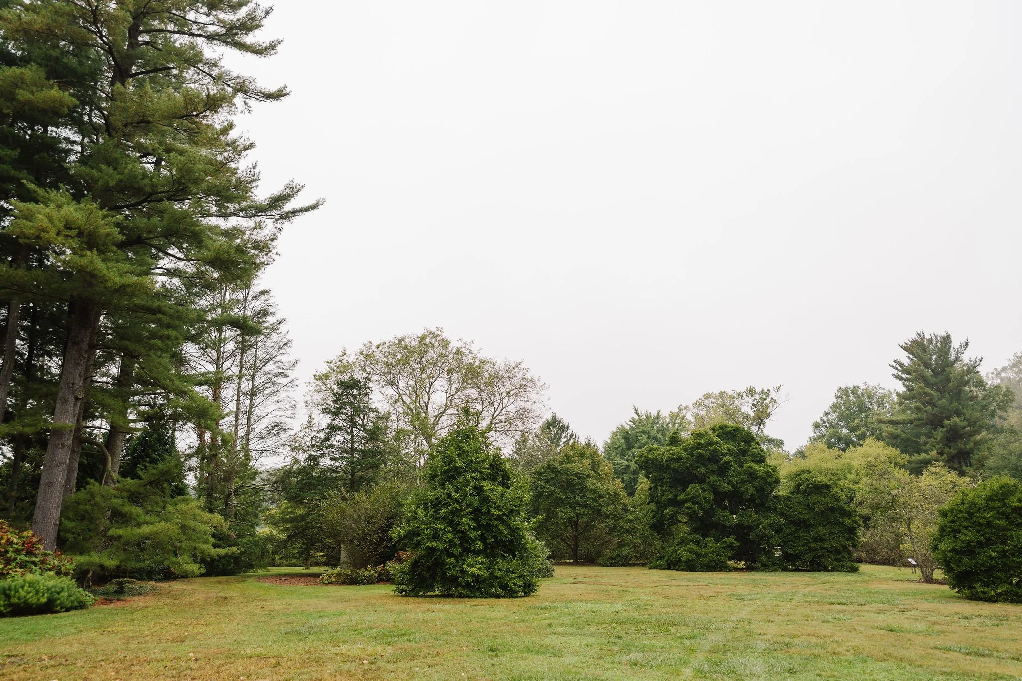 Tyler-Arboretum-Wedding-Peaberry-Photography-00008.JPG