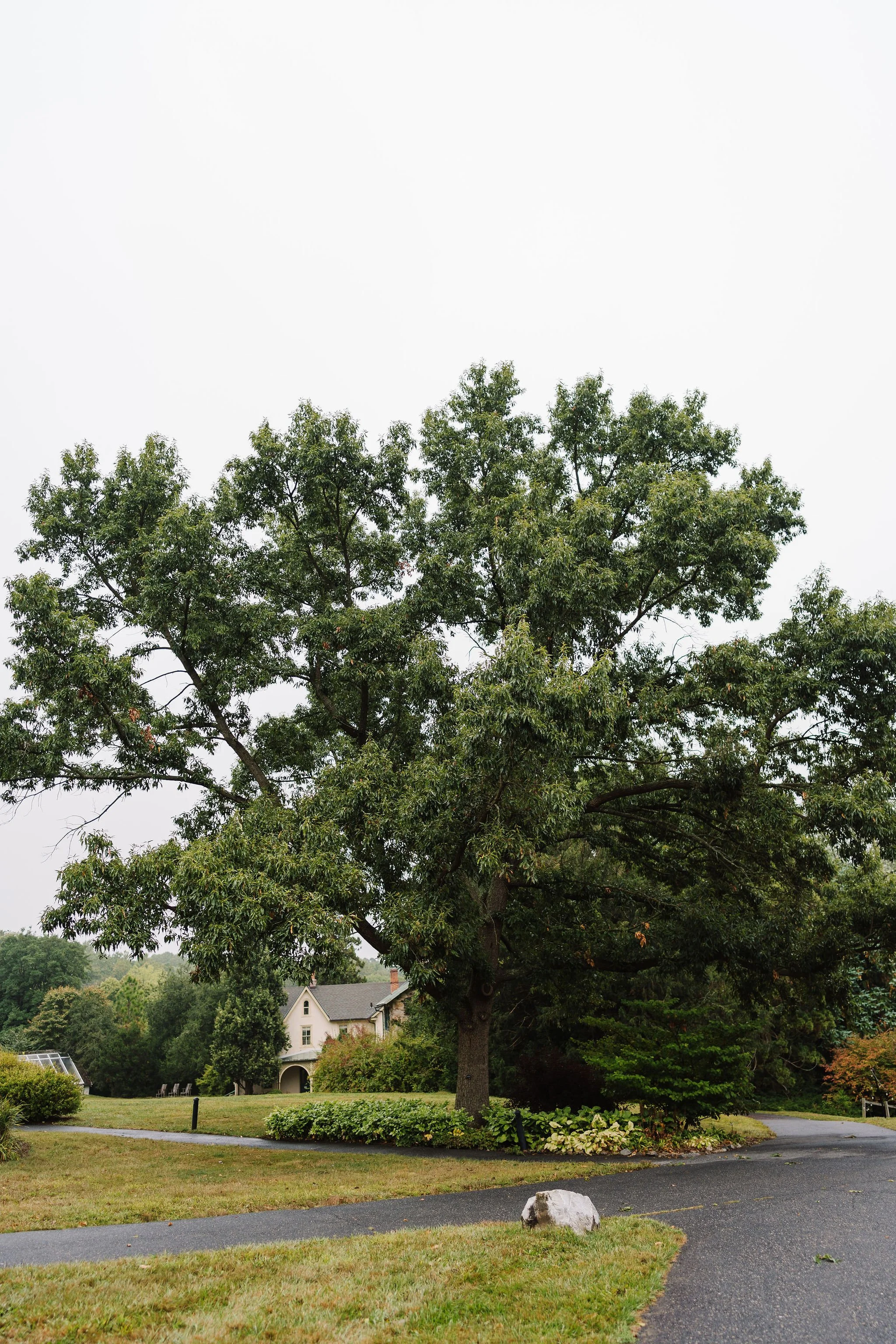 Tyler-Arboretum-Wedding-Peaberry-Photography-00002.JPG