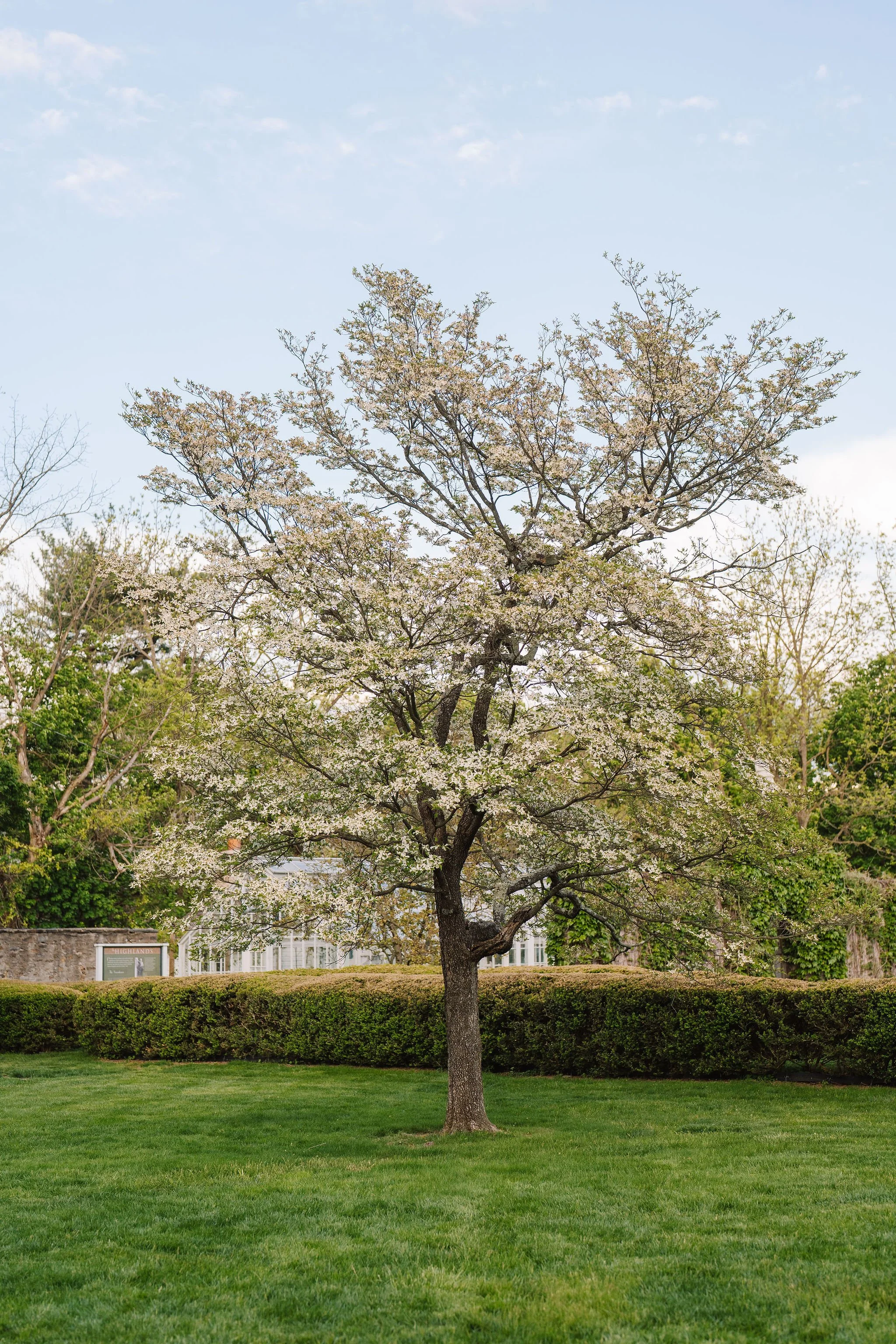 The-Highlands-Mansion-and_Gardens-Wedding-Peaberry-Photography-00808.JPG