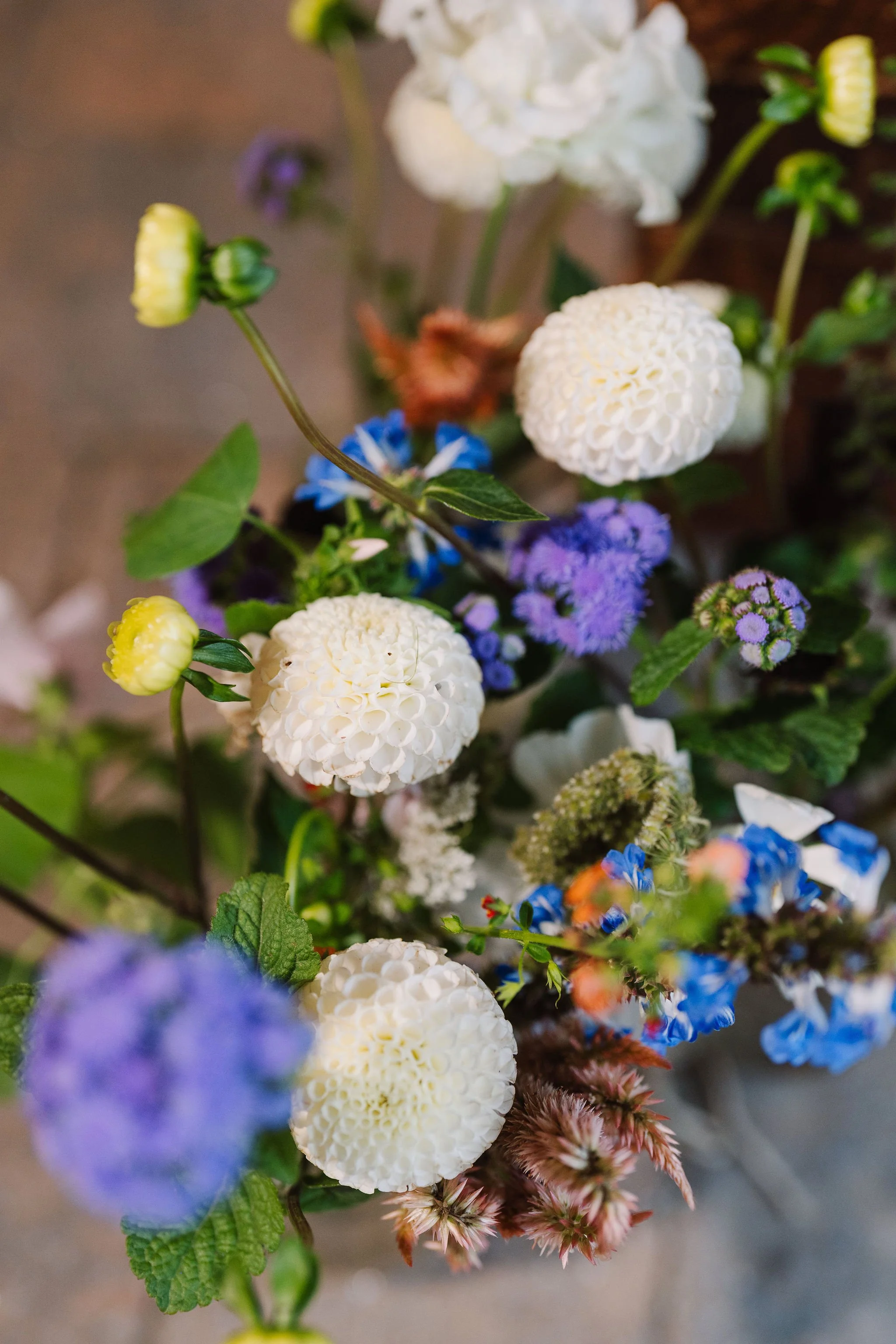 Tyler-Arboretum-Wedding-Peaberry-Photography-00765.JPG