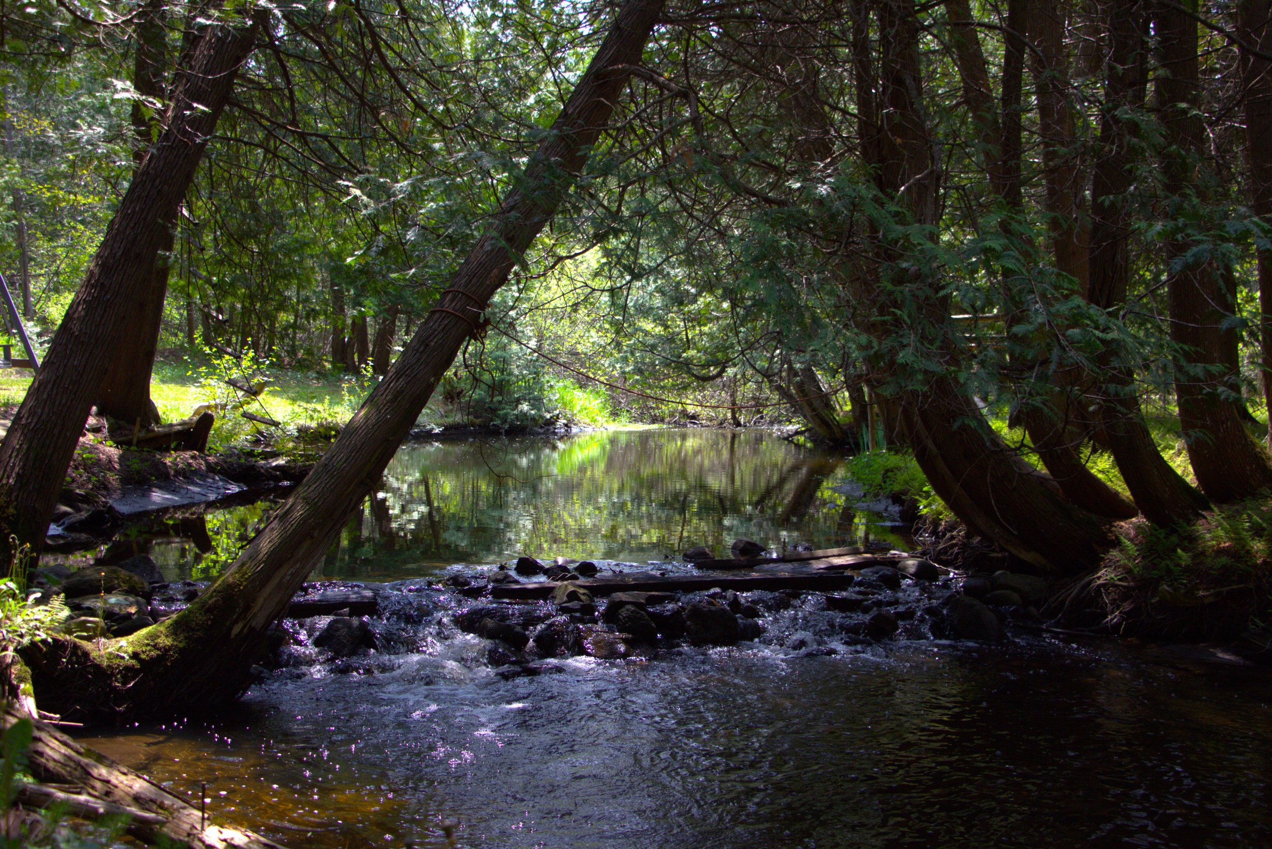 _MG_9372.jpg