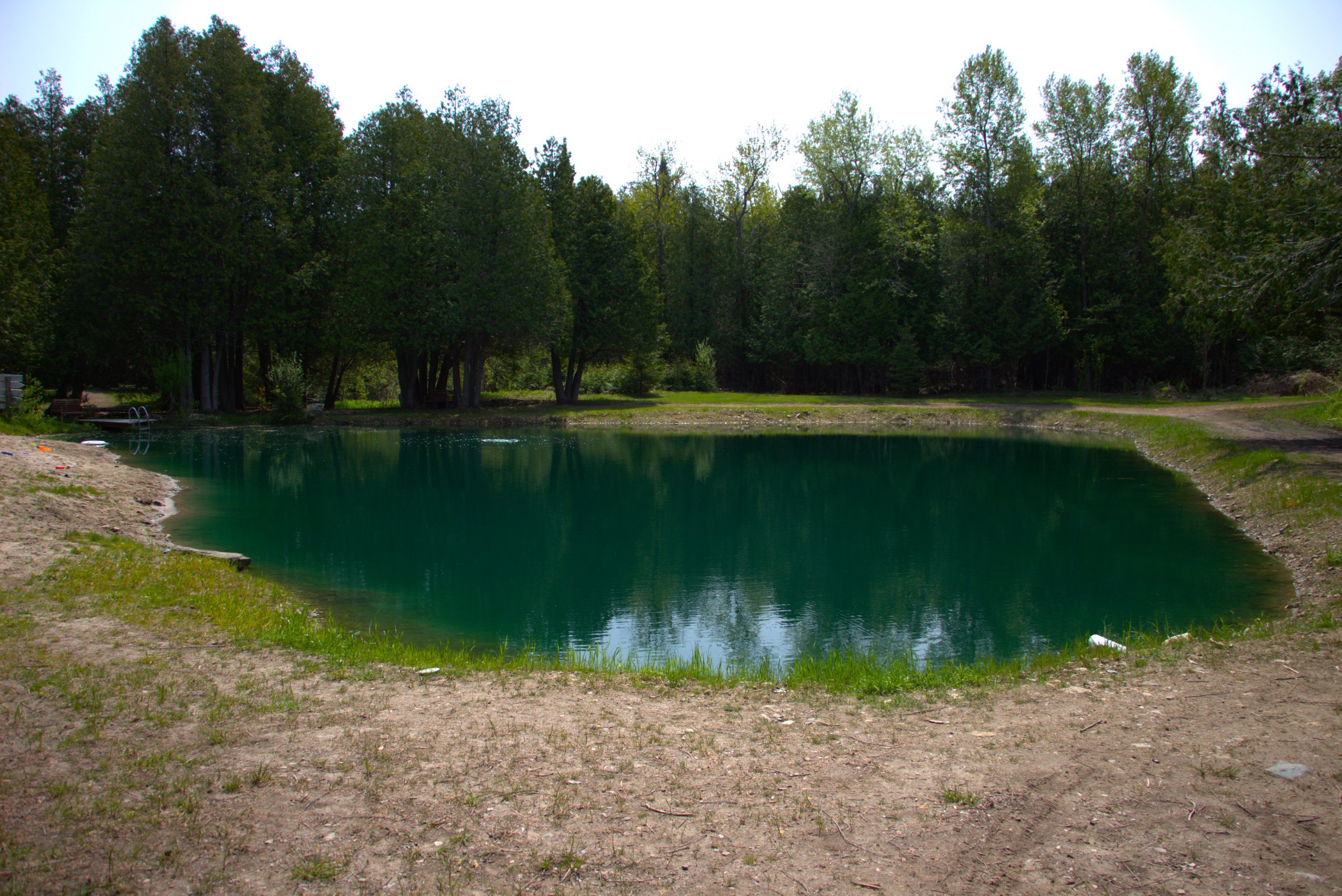 _MG_9333.jpg