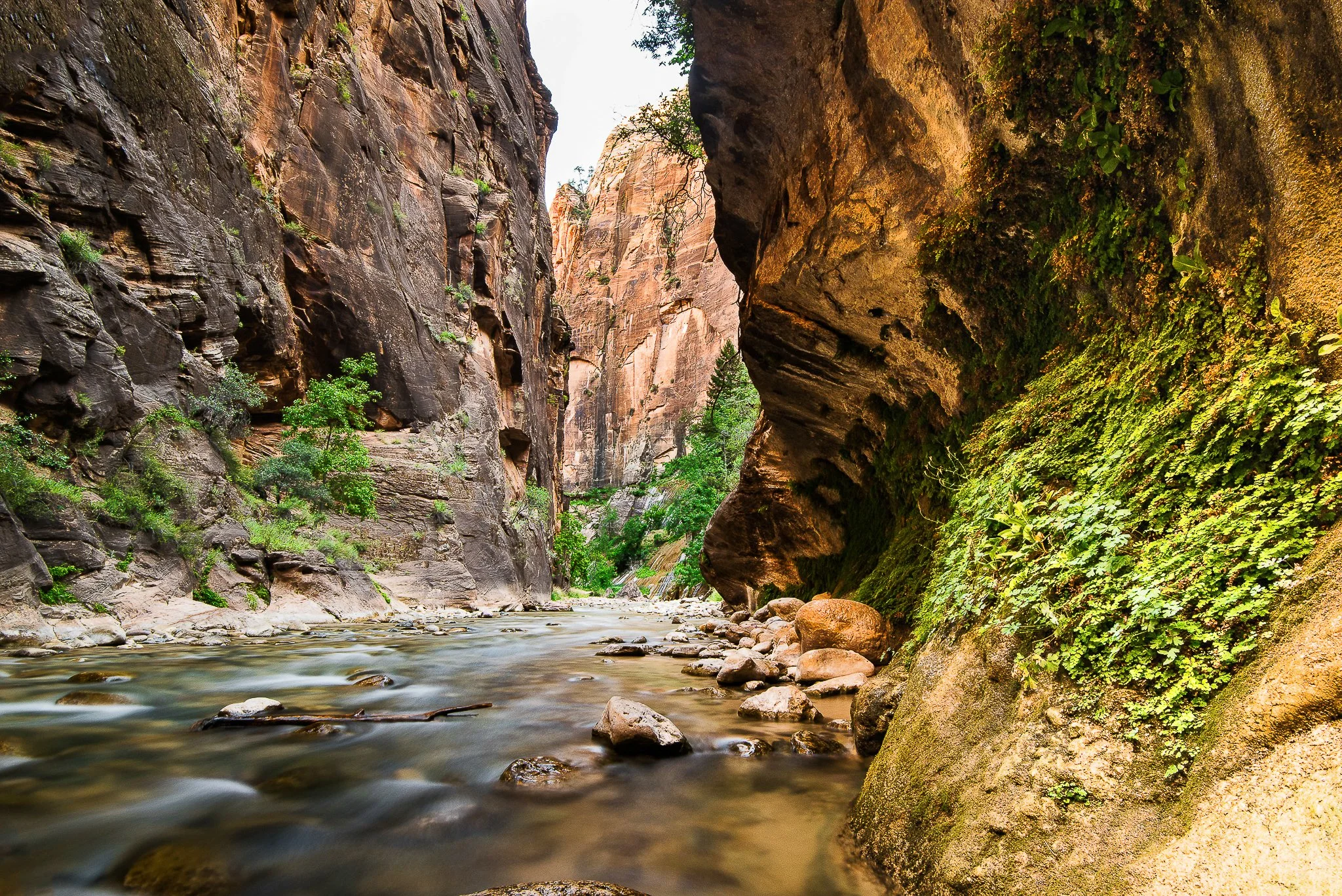 Sunrise at Zion.jpg