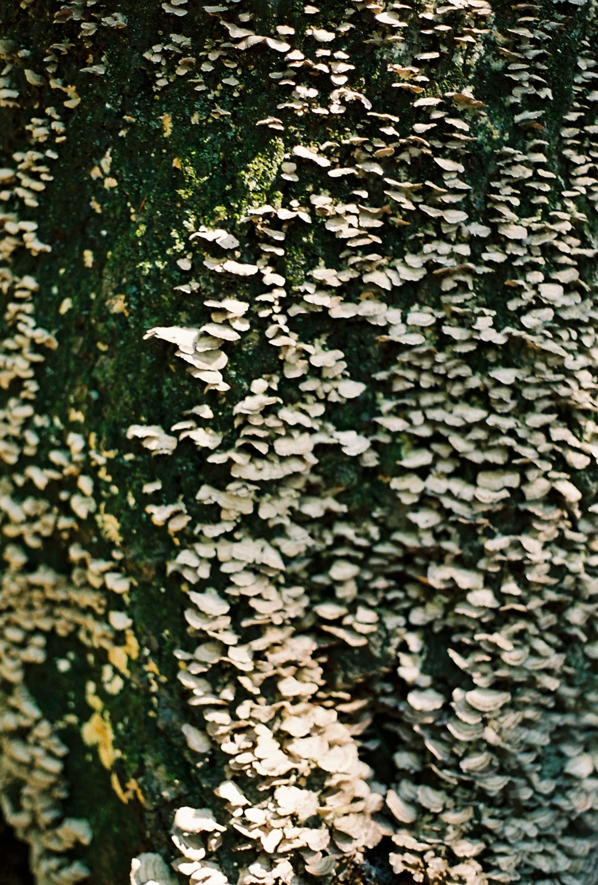 P068759-R01-033.png