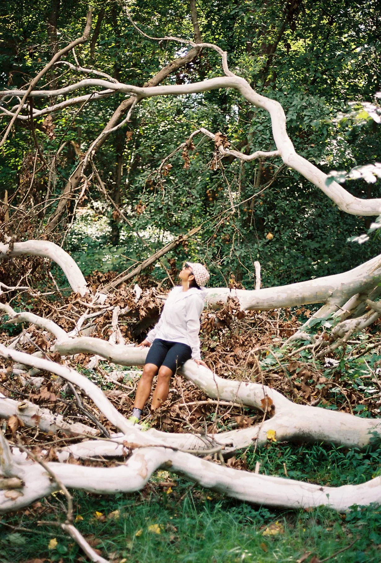 P068759-R01-019.png