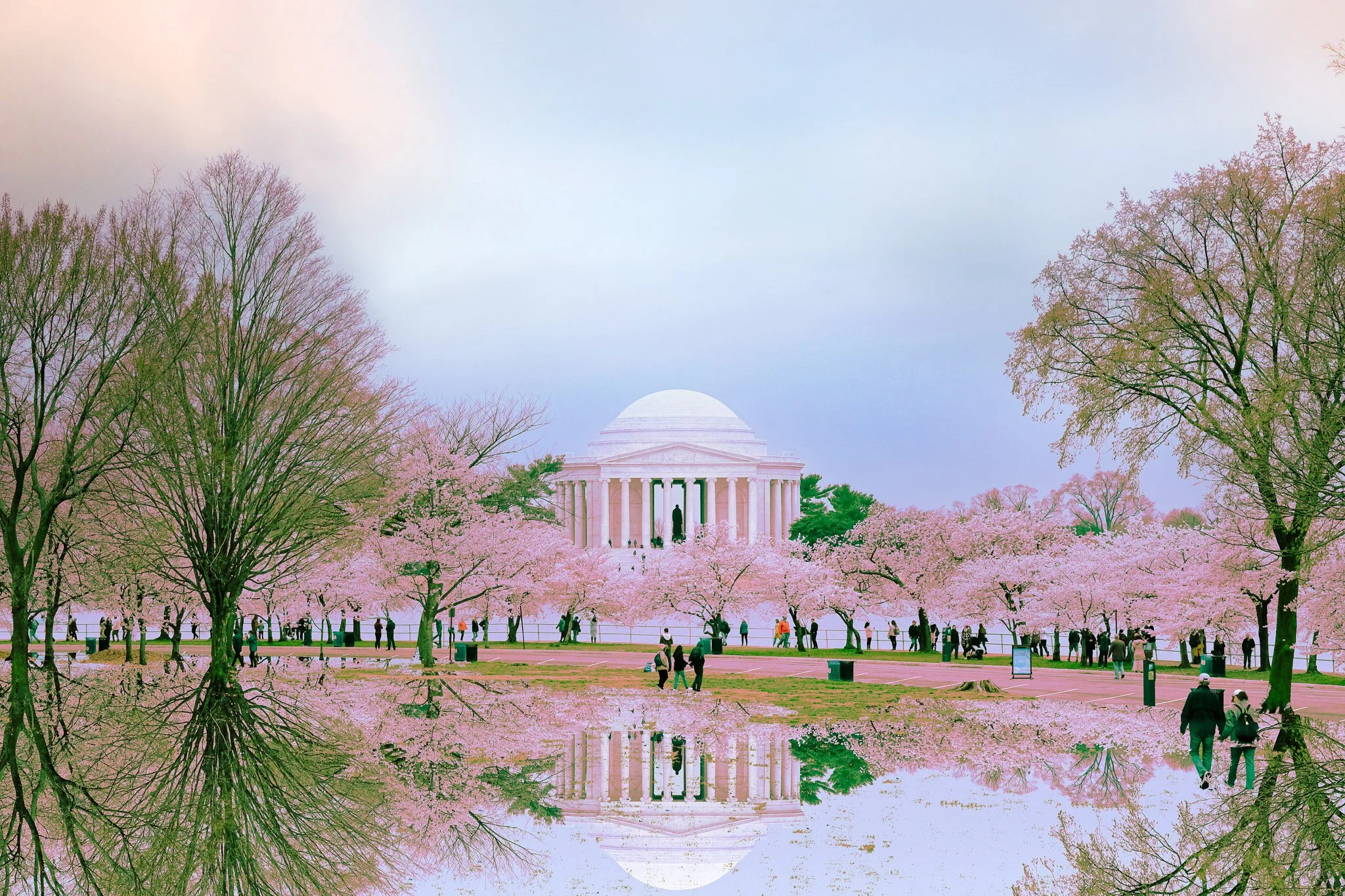 Cherry Blossom (2 of 11).jpg