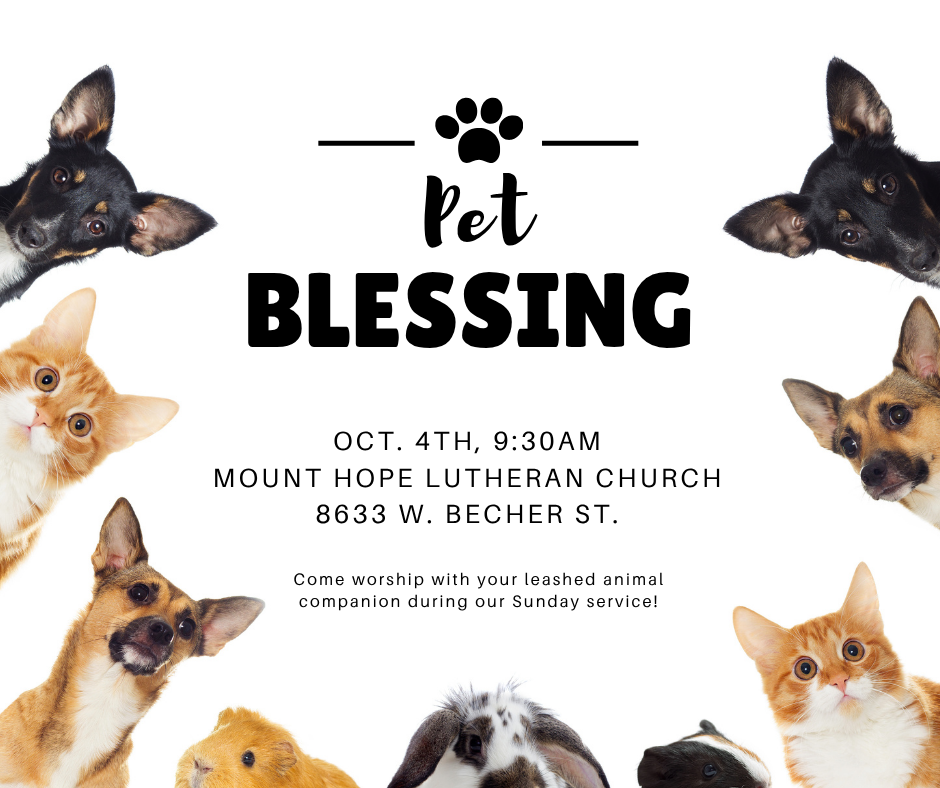 Pet Blessing Worship