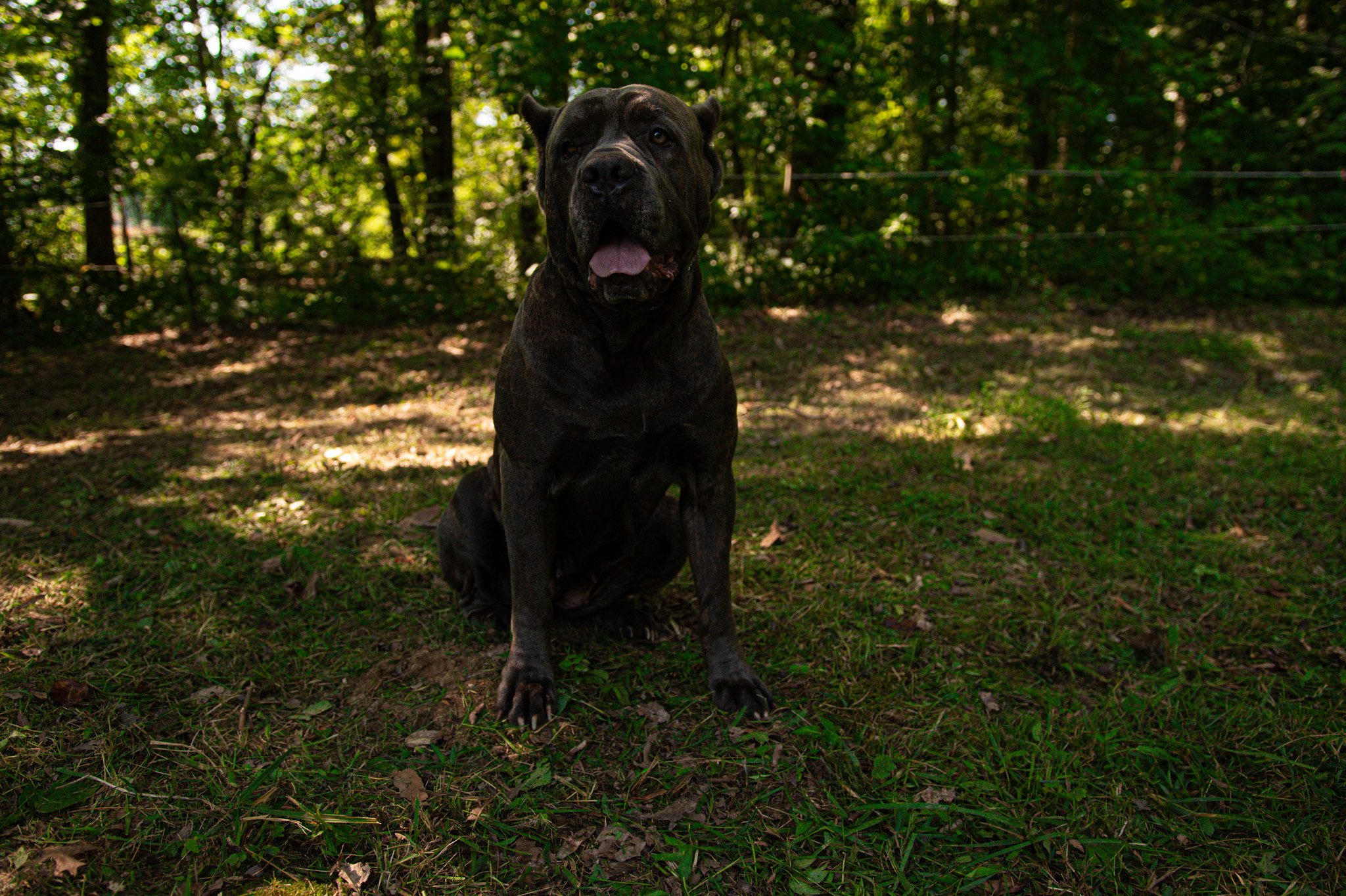 DSC_0077.jpg