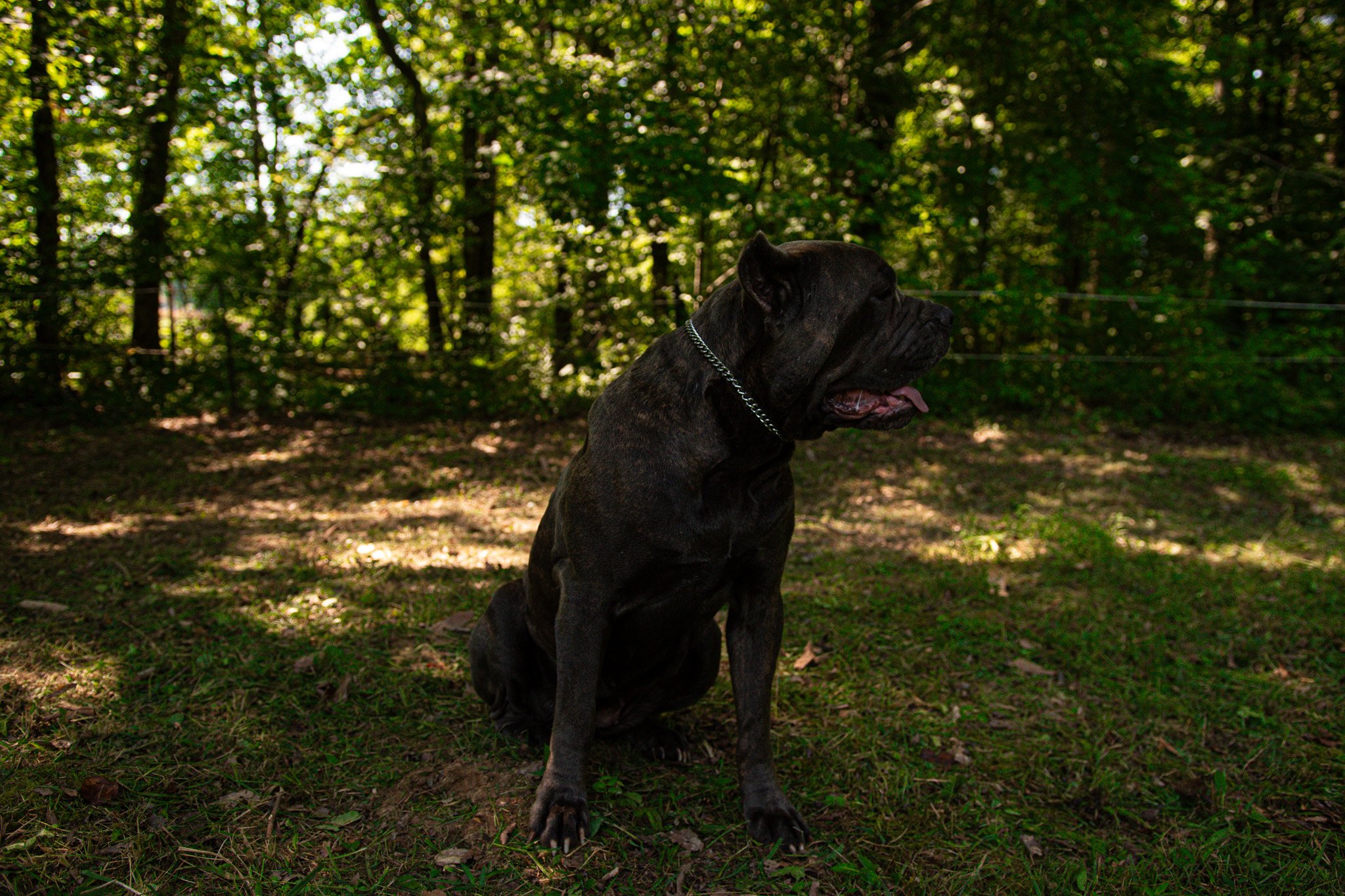 DSC_0078.jpg