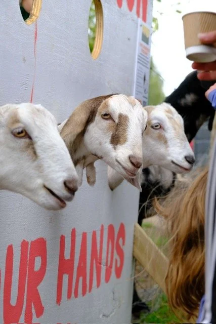 Why We’re Suspending Animal Feeding at the Farm (for Now)