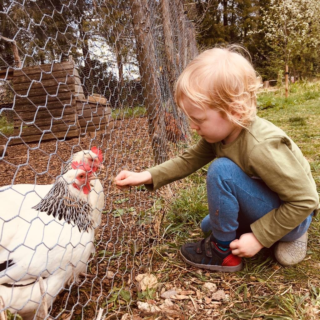 Photo from Nicole Titera (OCF).jpg