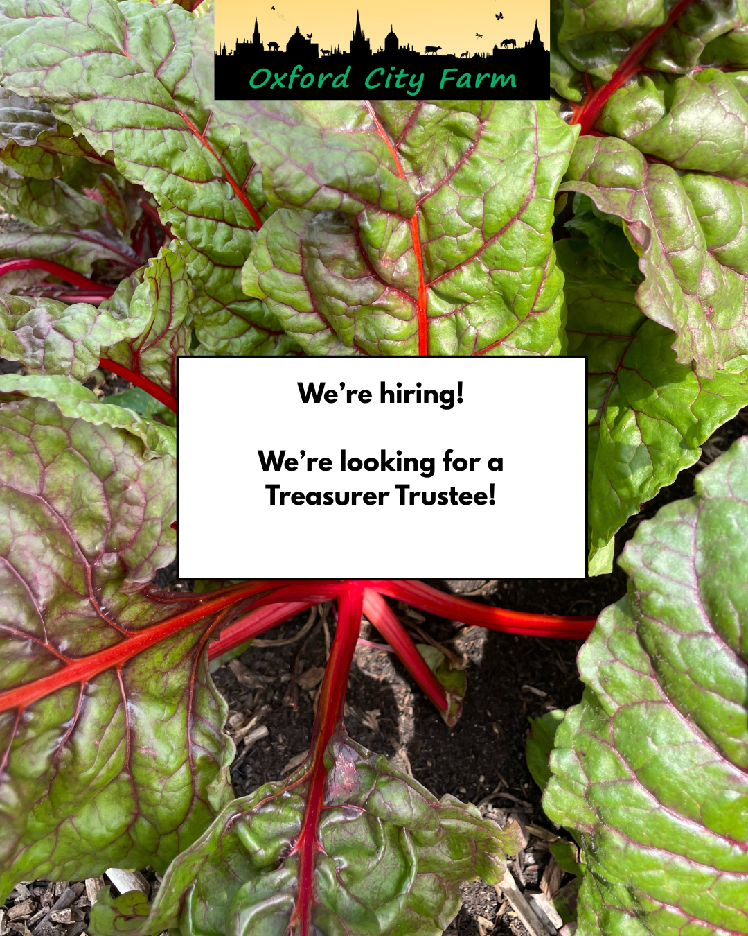 We’re hiring…