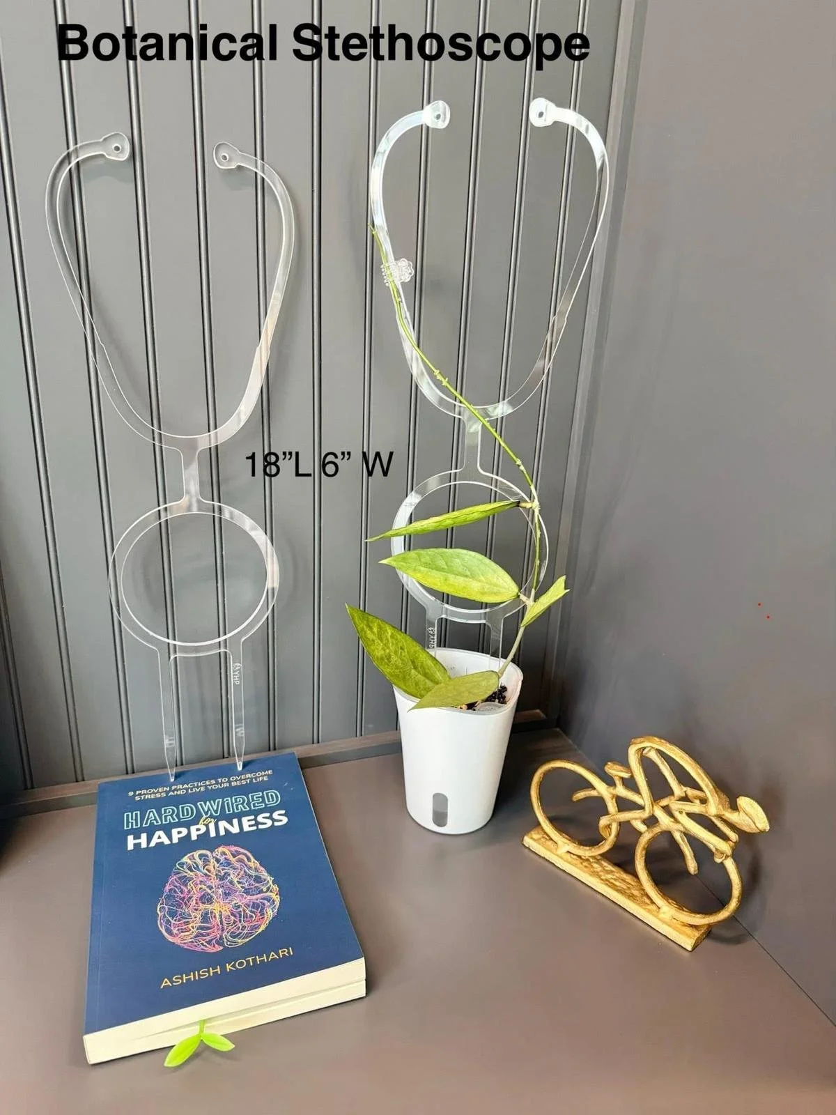 YHP 'Botanical Stethoscope' Trellis
