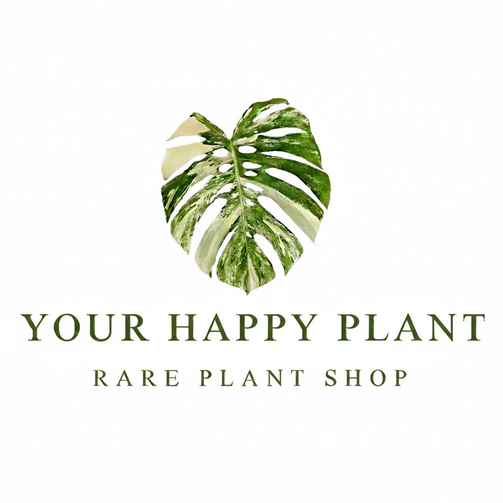 Your Happy Plant
