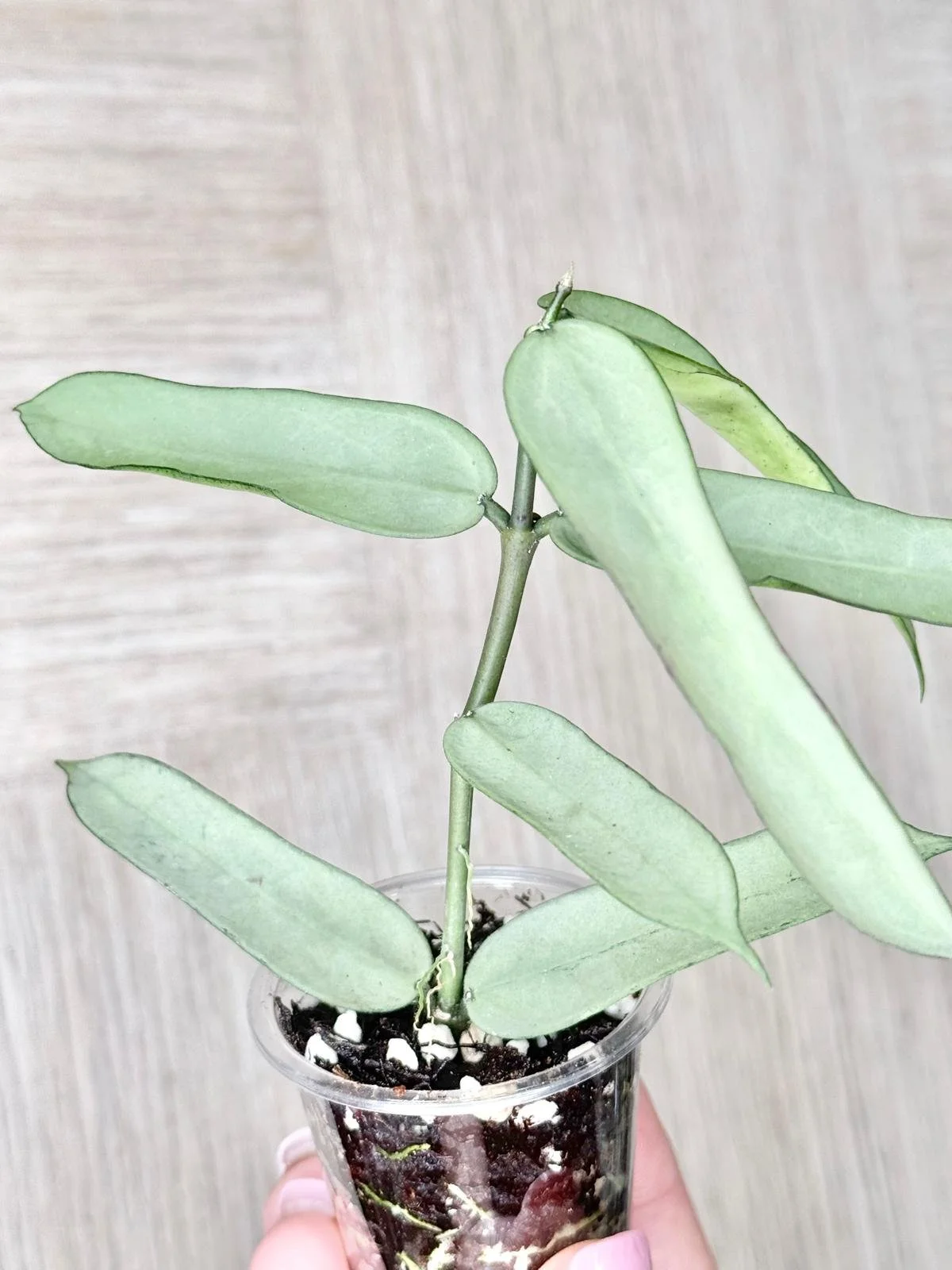 WhatsApp Image 2025-12-05 at 9.31.42 PM (6).jpeg