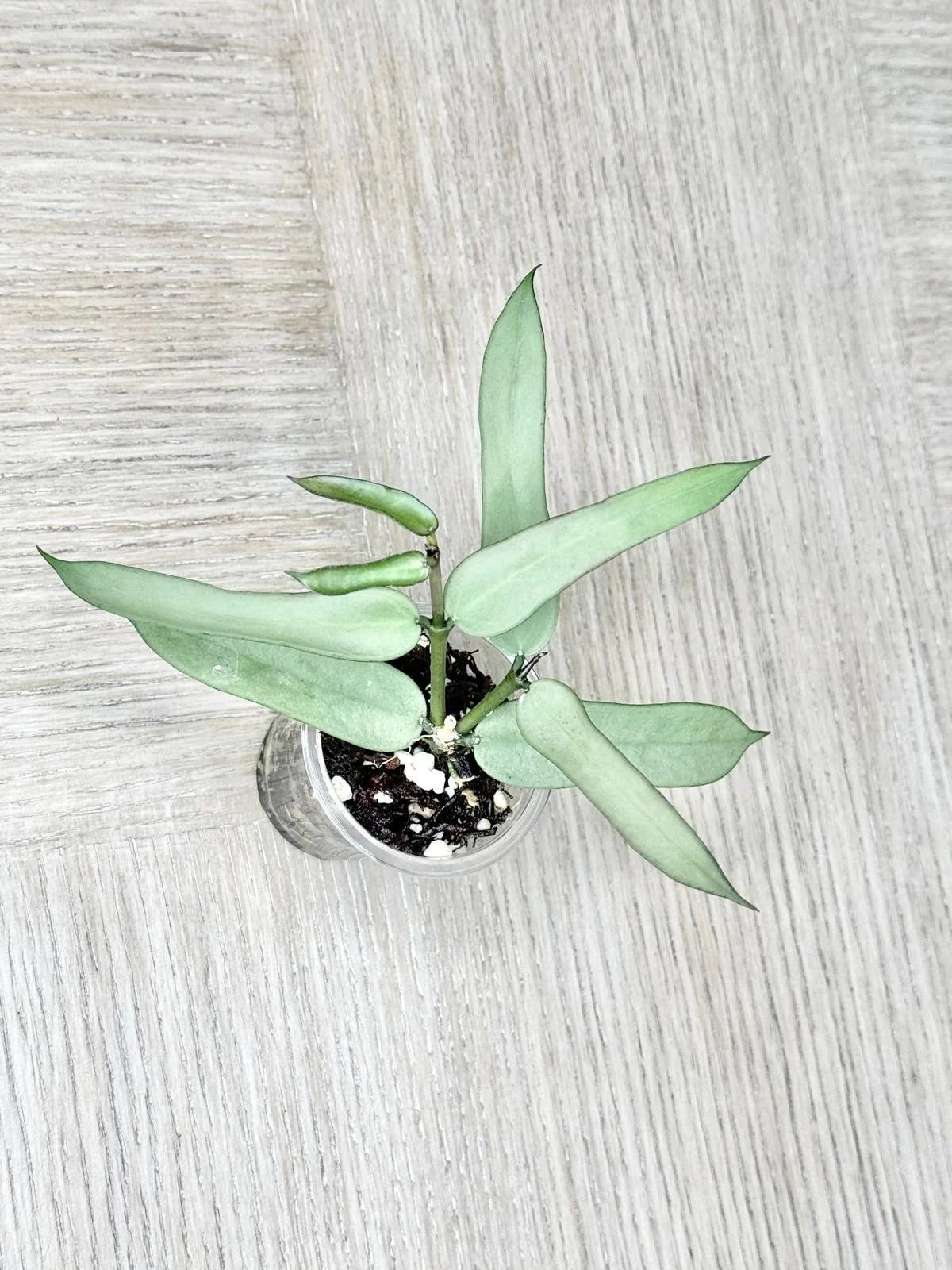 WhatsApp Image 2025-12-05 at 9.31.42 PM.jpeg