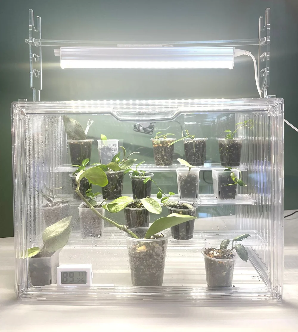 YHP Acrylic Propagation box  Your Happy Plant