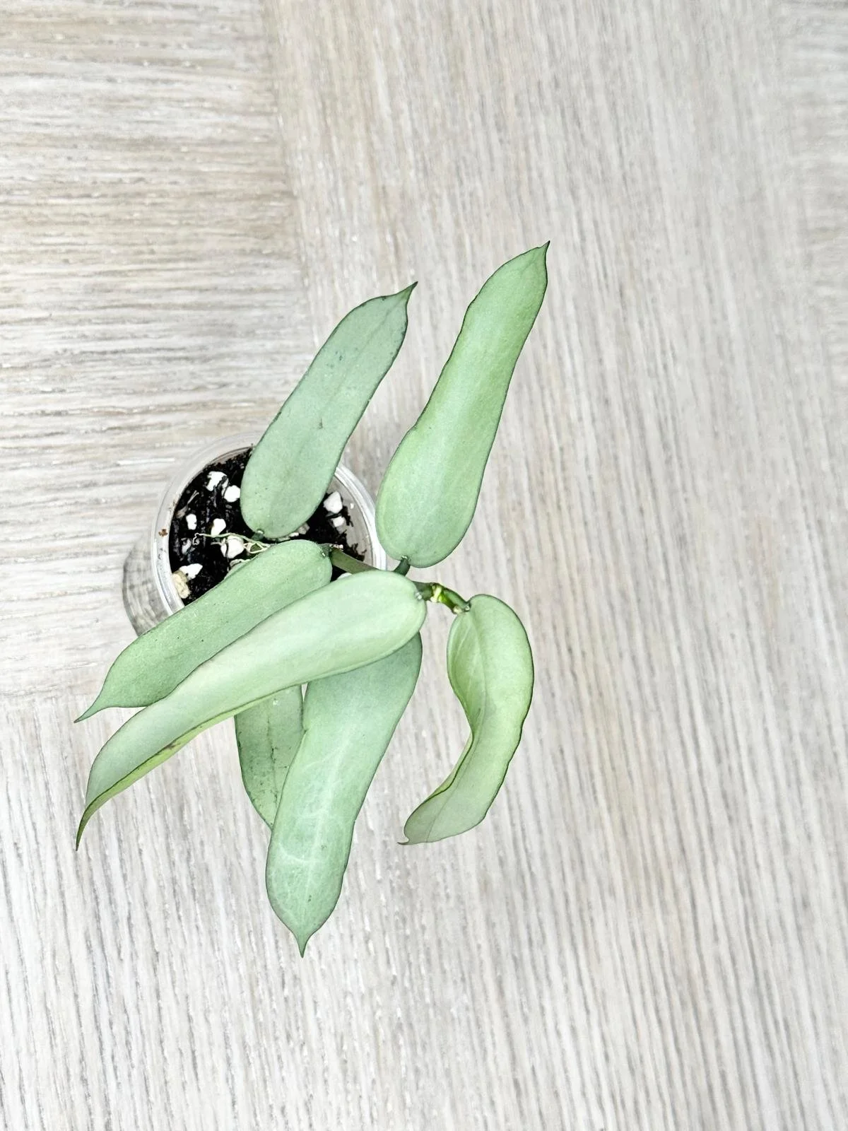 WhatsApp Image 2025-12-05 at 9.31.42 PM (5).jpeg