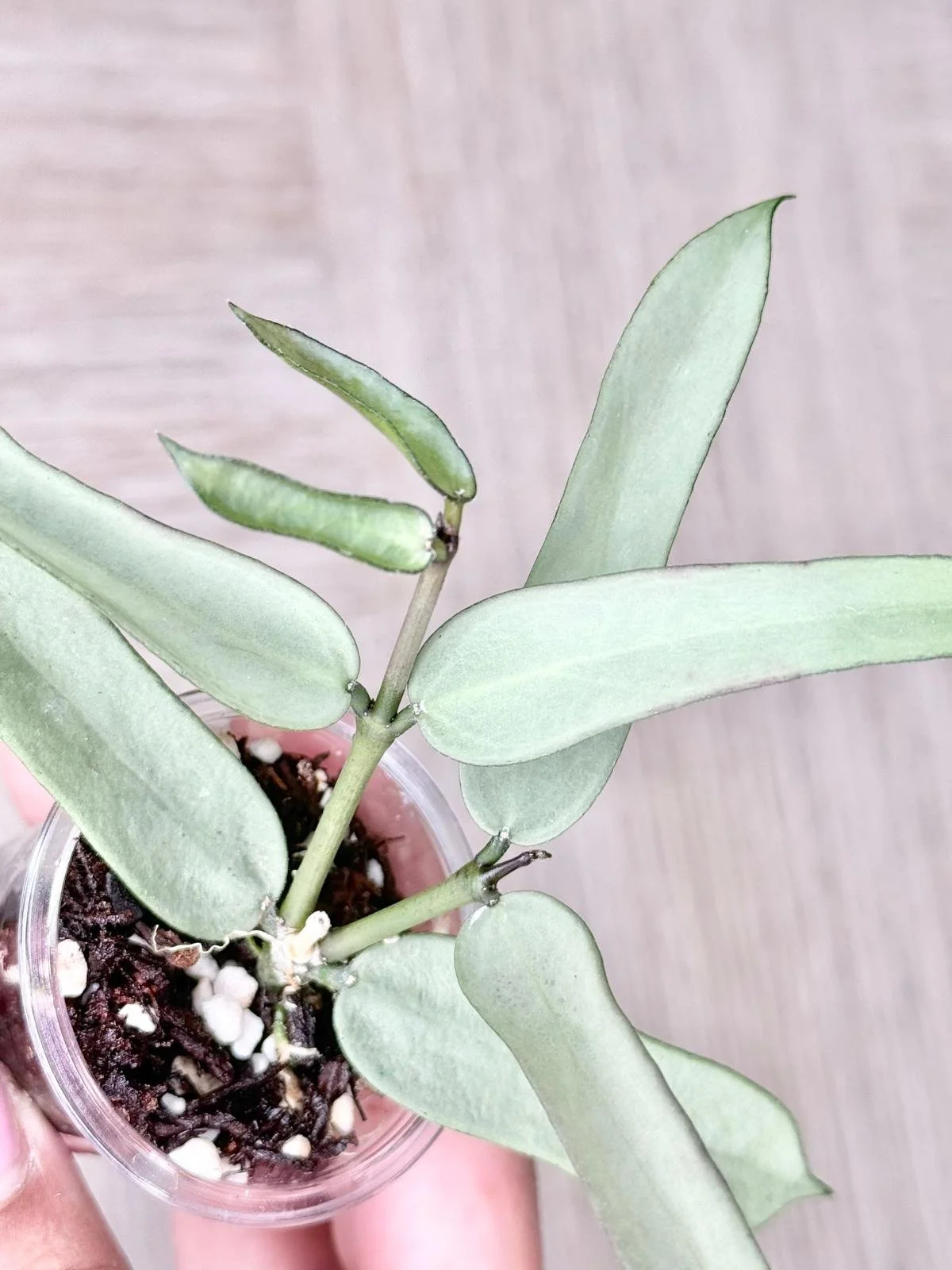 WhatsApp Image 2025-12-05 at 9.31.42 PM (1).jpeg