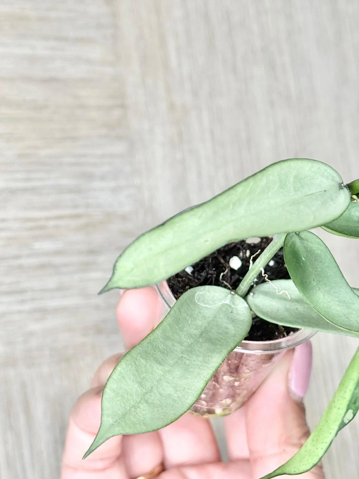 WhatsApp Image 2025-12-05 at 9.31.42 PM (9).jpeg