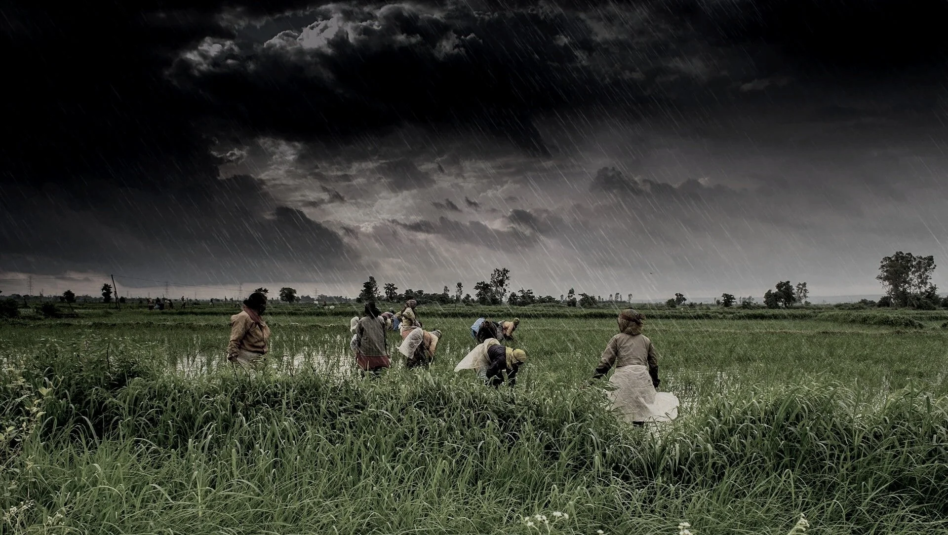 The Asymmetry of Climate Change: How Industries are Protected and Farmers Marginalised in India