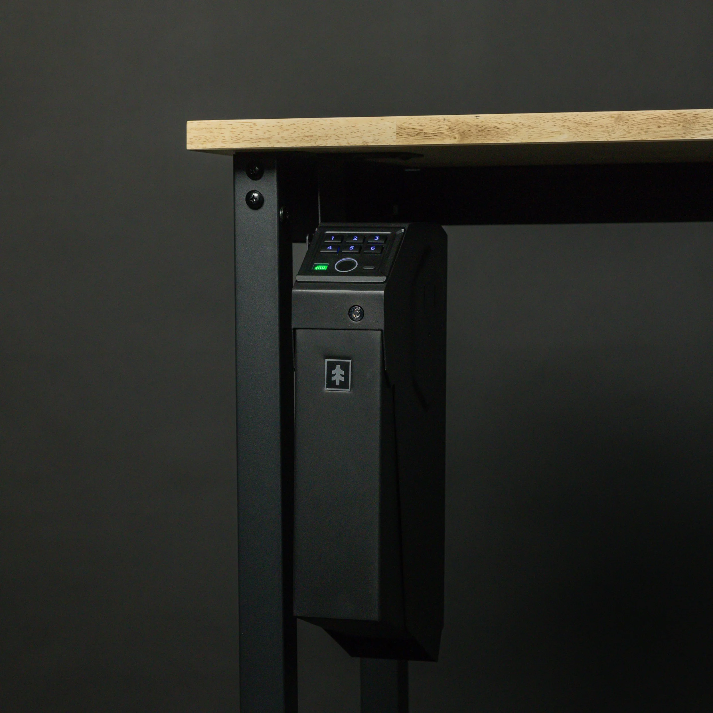WÄCHTER 110 - Mounted Biometric Safe_Blk Studio Photos-03-102.jpg