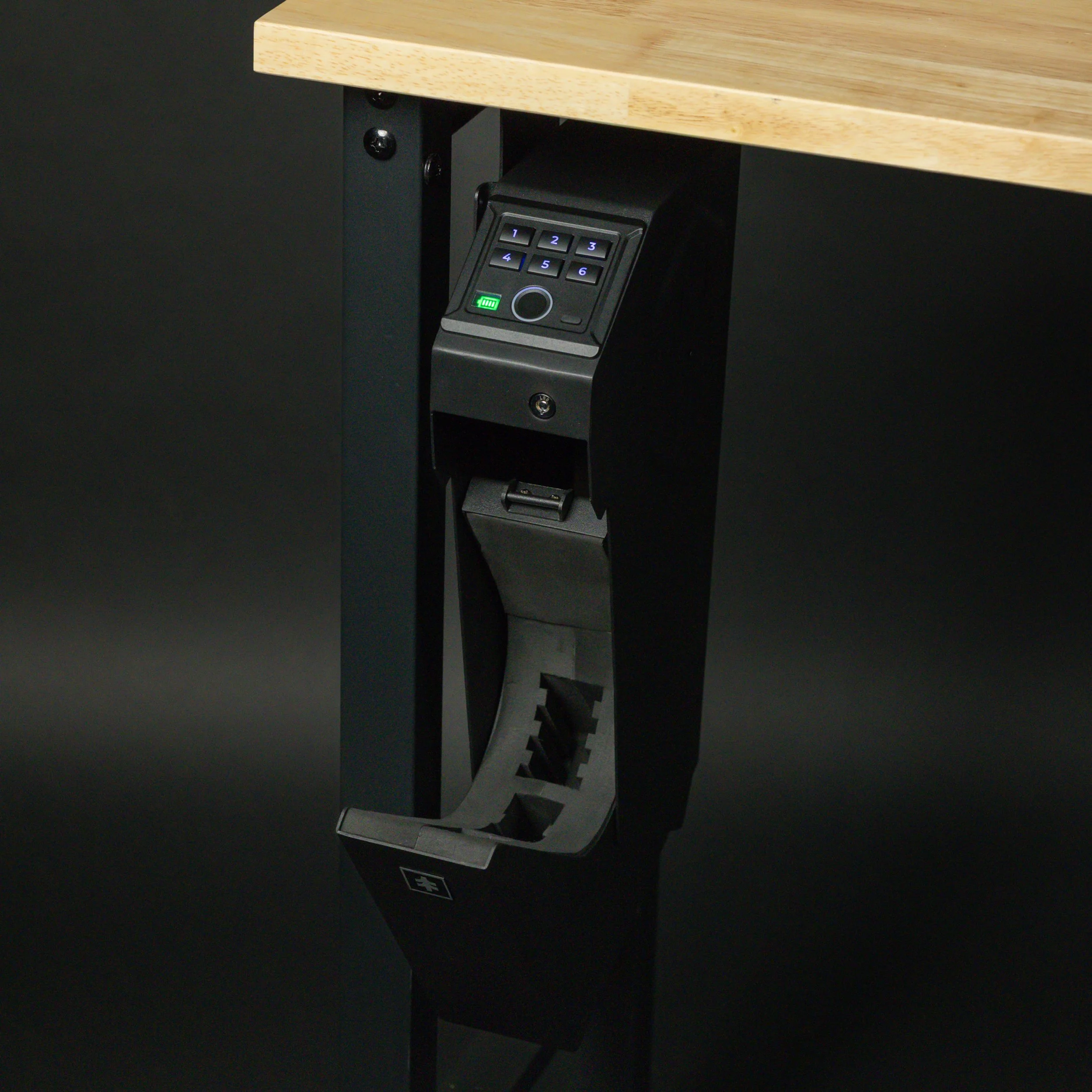 WÄCHTER 110 - Mounted Biometric Safe_Blk Studio Photos-01-99.jpg