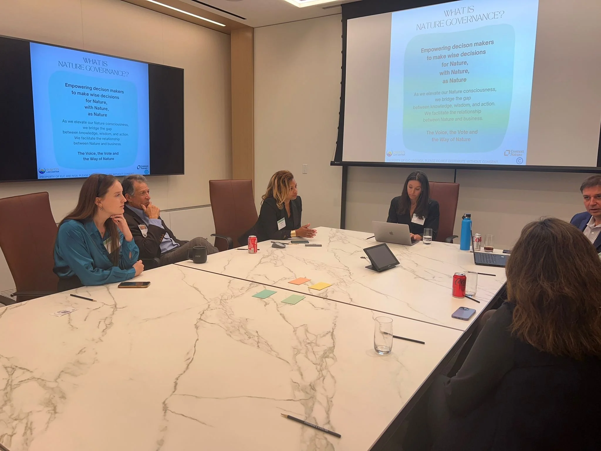 NY Climate Week - TLD(1).JPG