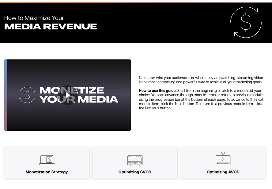 How to Maximize Your Media Revenue