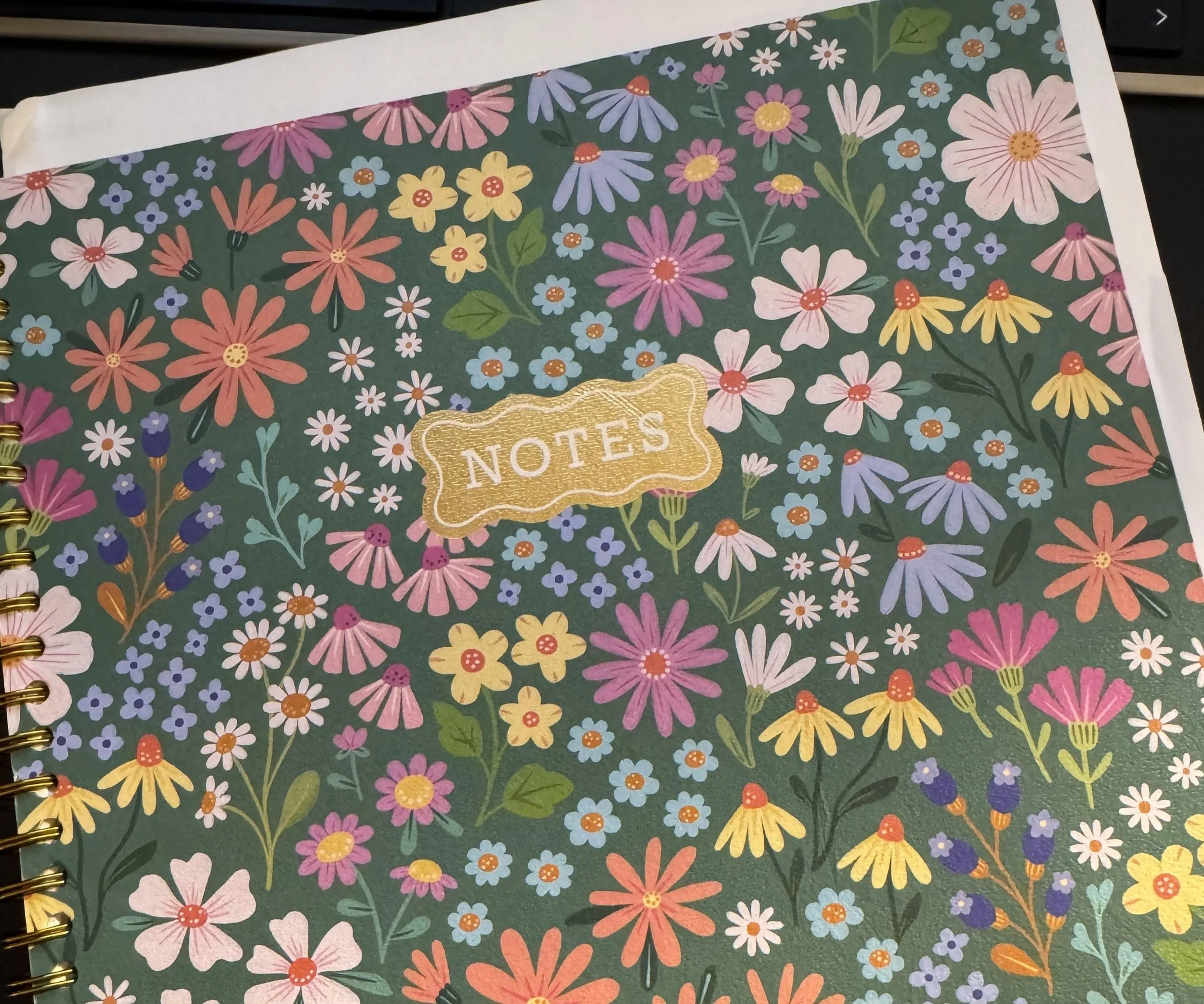 WHEN PERFECTIONISM CONFUSES ITERATION FOR FAILURE