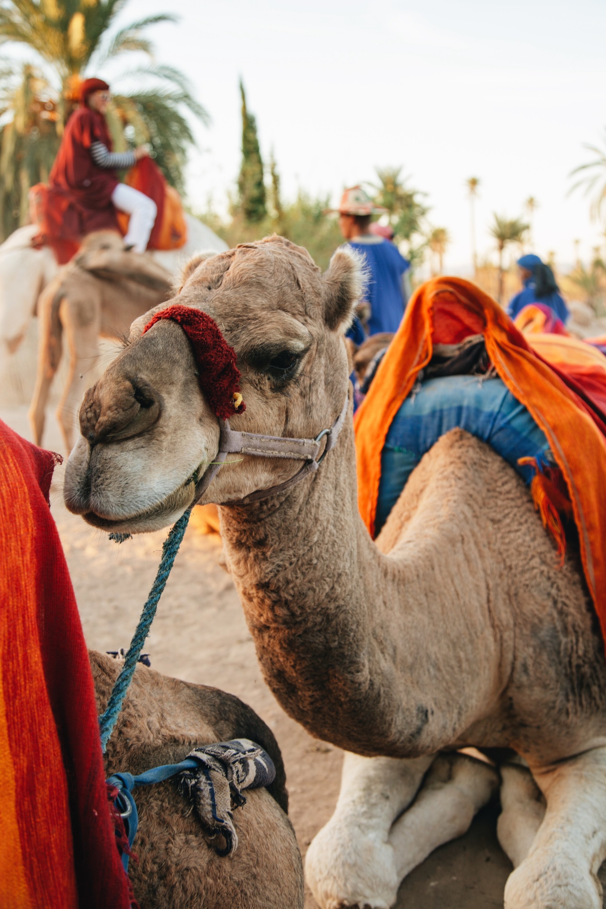 Marrakesh, Morocco
