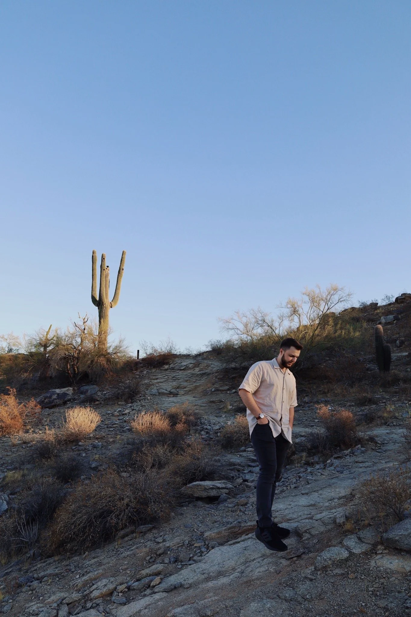anthropos-design-founder-arizona-desert-landscape-saguaro-cactus