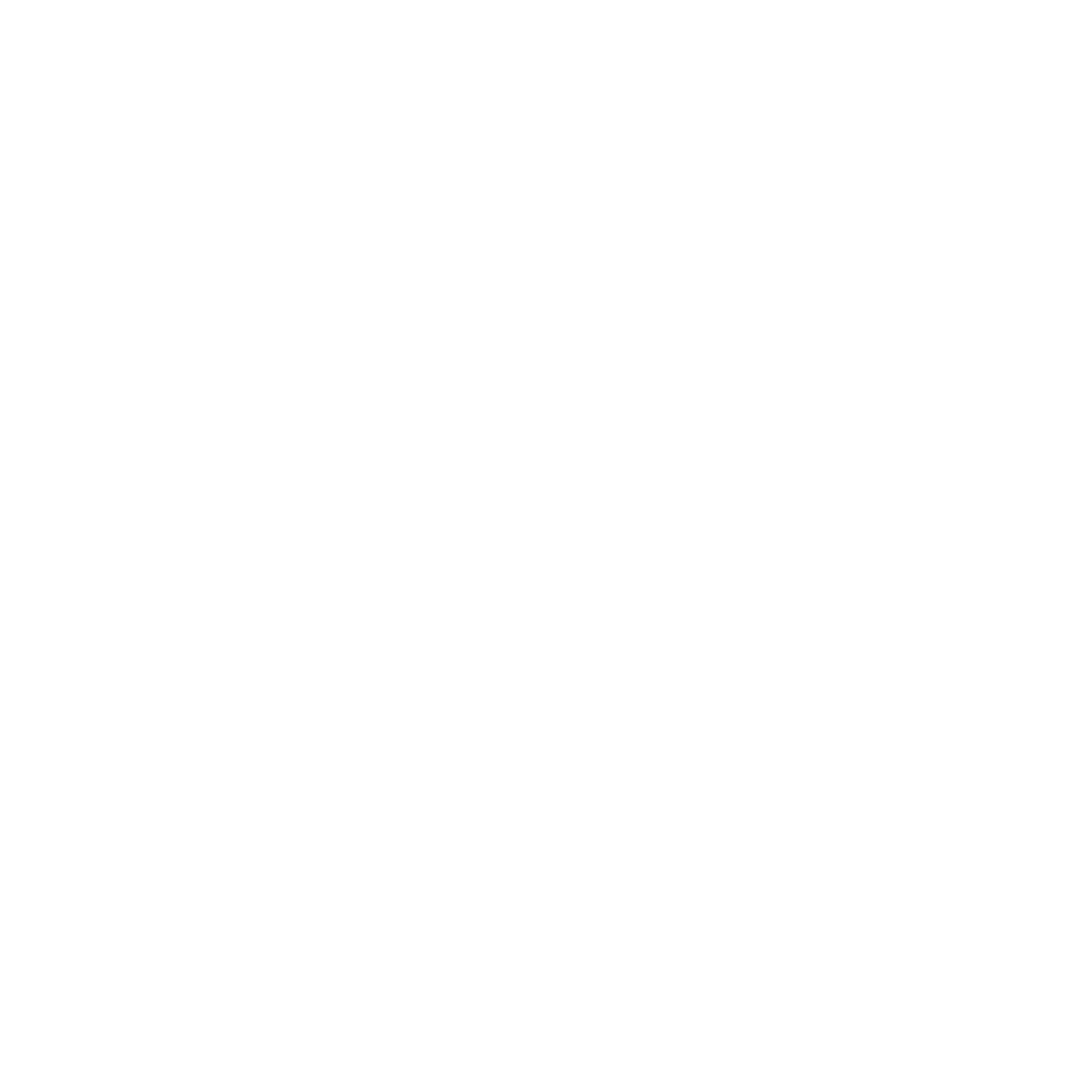 Camden Jackson Consulting