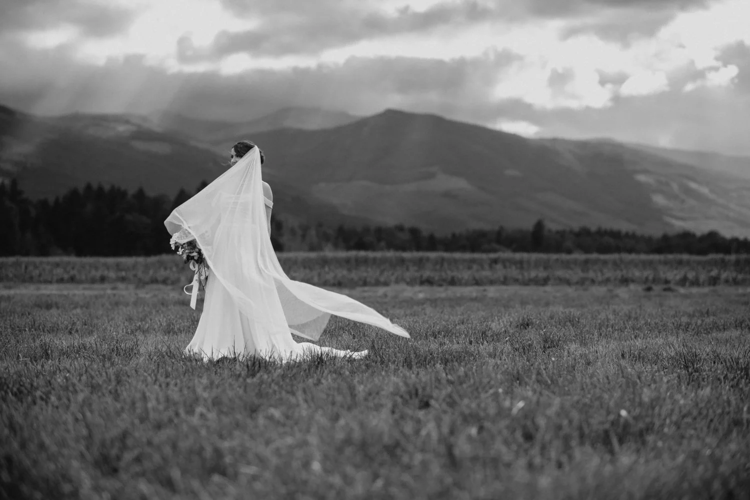 DSC_6956-2.jpg