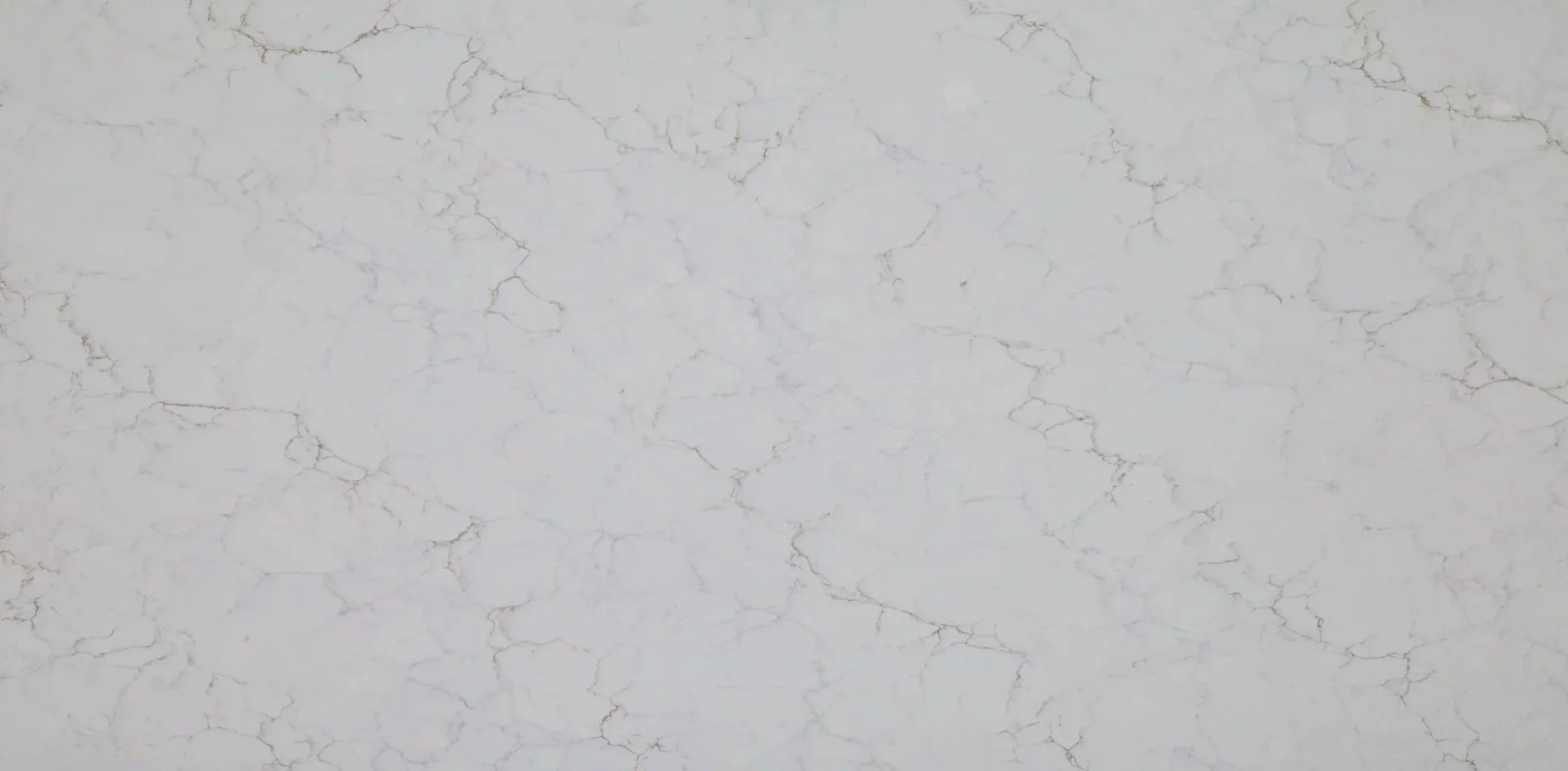 Calacatta Fioressa Quartz